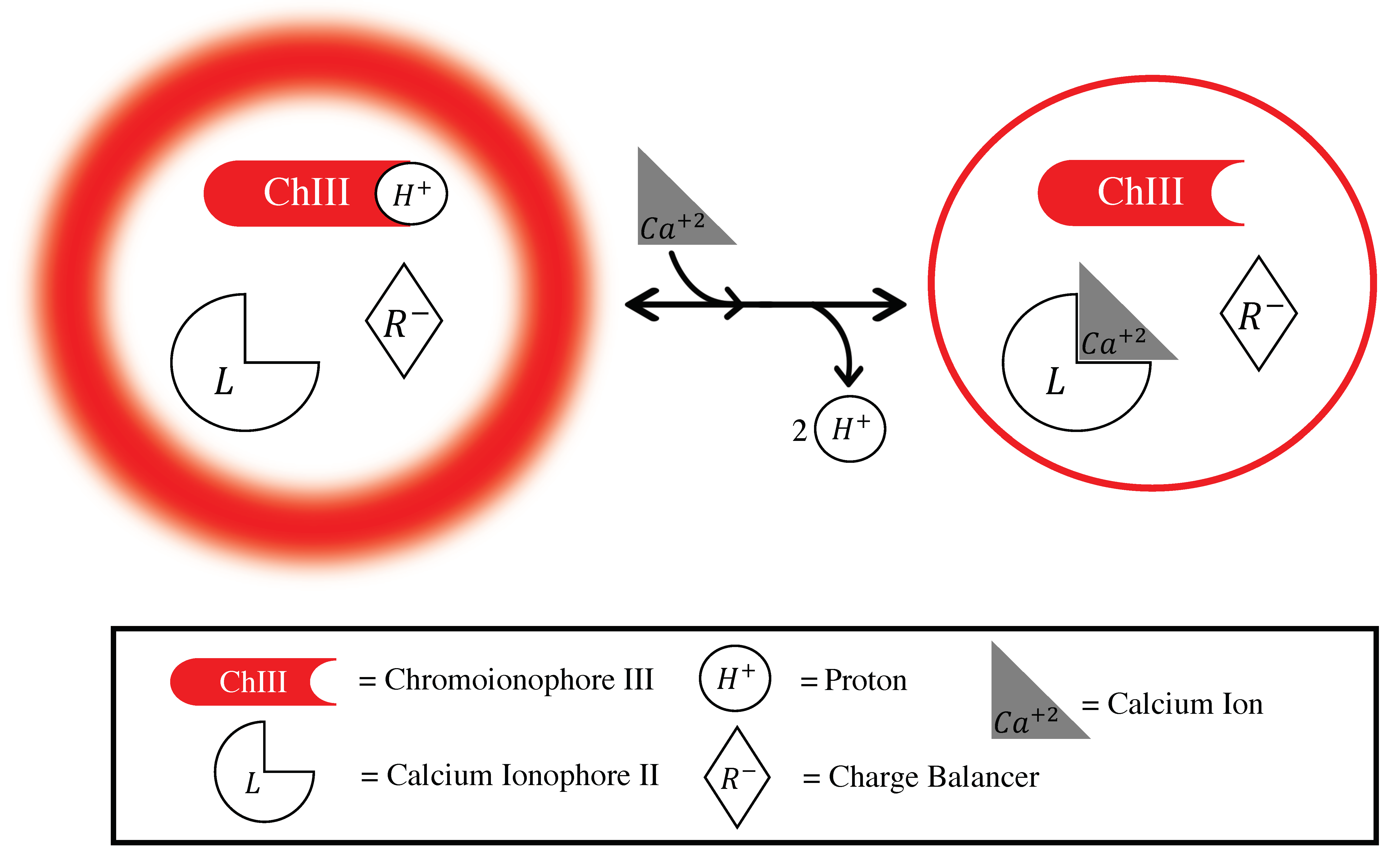 Biosensors 10 00120 g001 Biosensors 10 00120 g001
