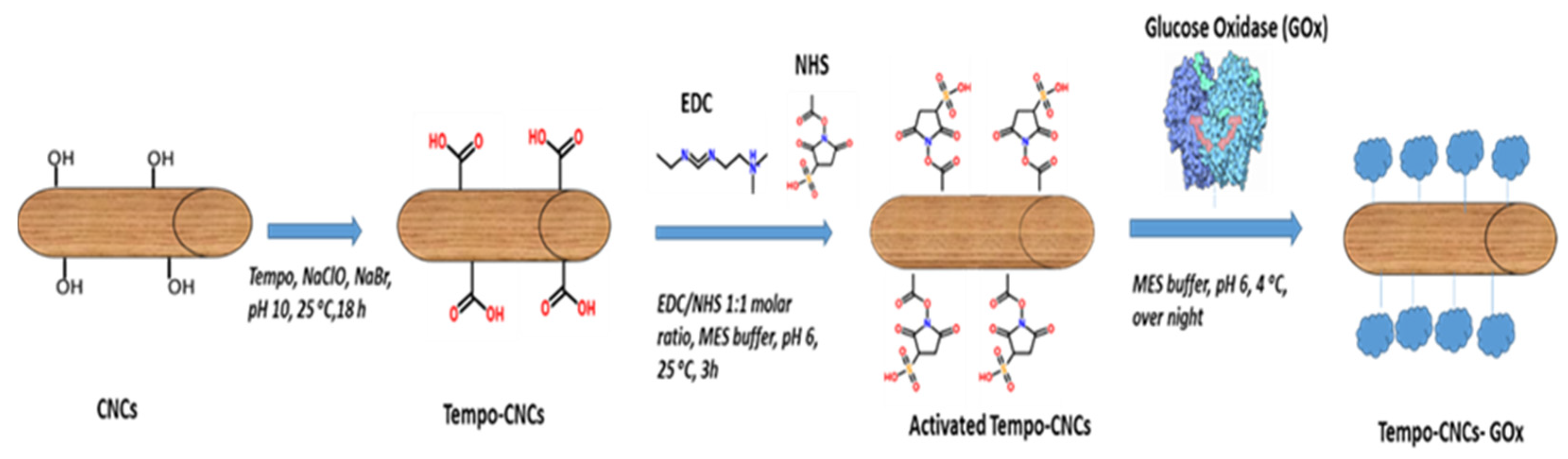 Biosensors 10 00125 g001 Biosensors 10 00125 g001