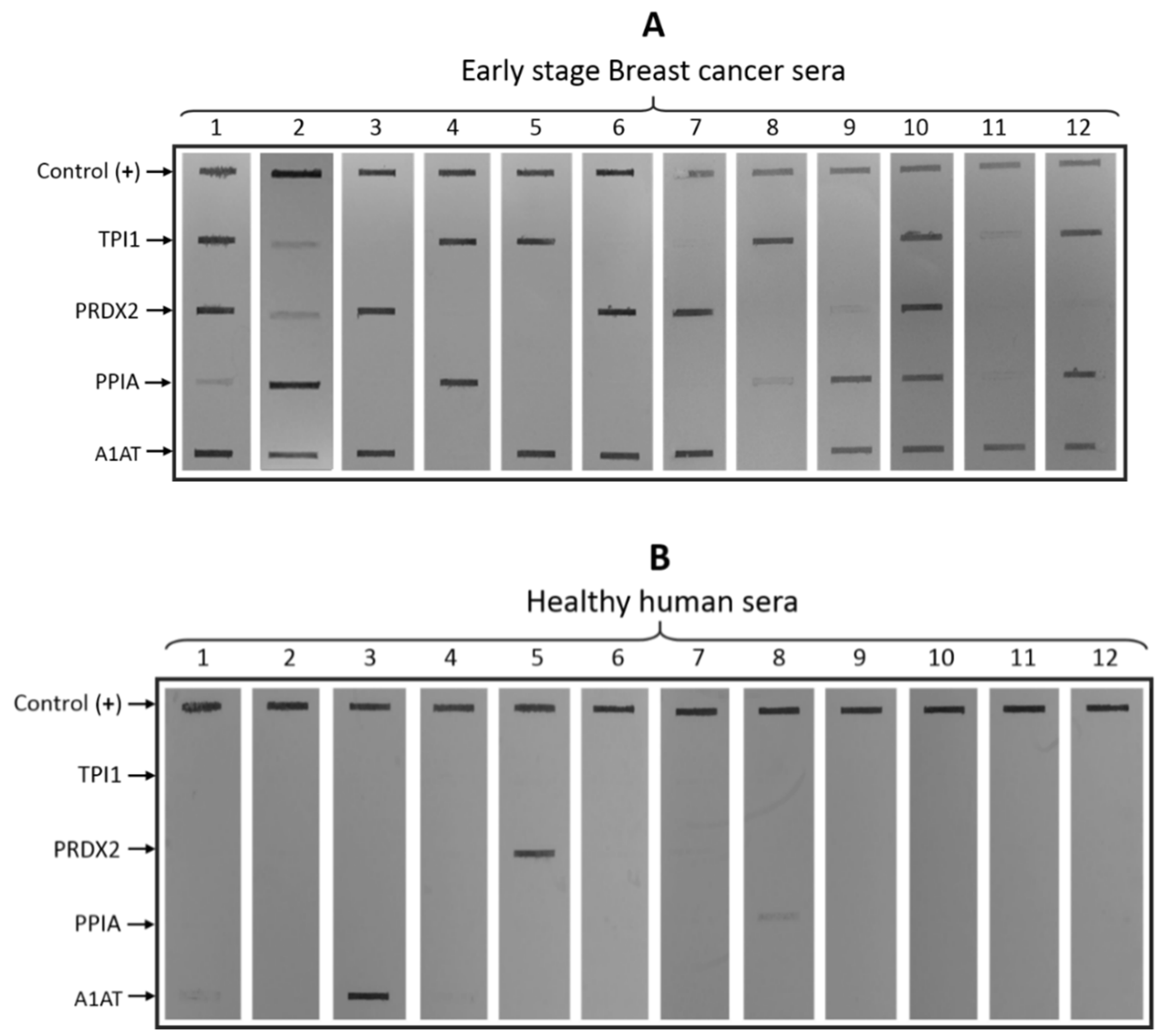 Biosensors 10 00149 g002 Biosensors 10 00149 g002