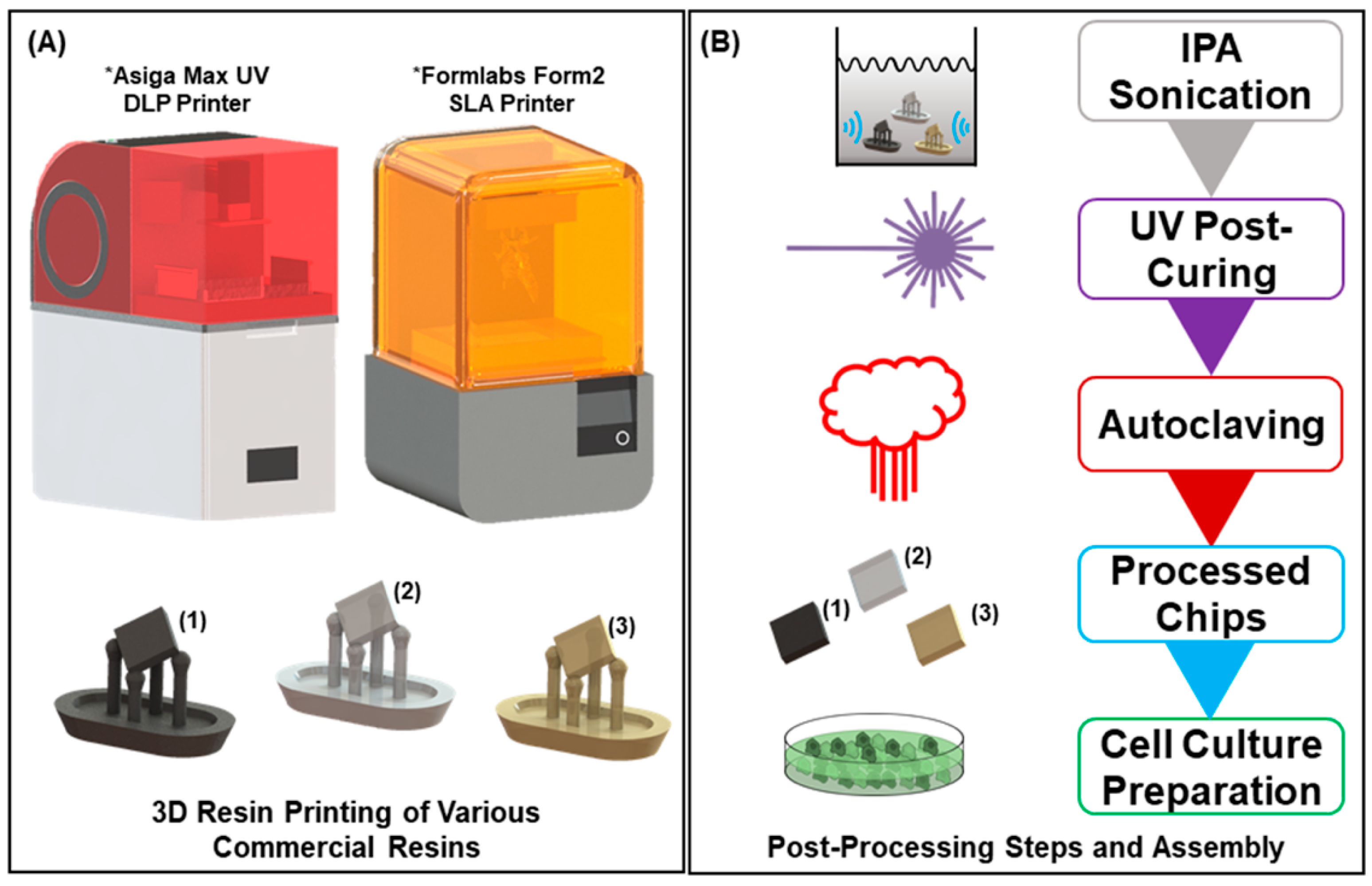 Biosensors 10 00152 g001