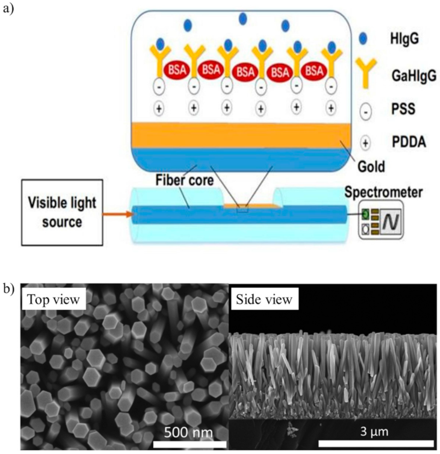 Biosensors 10 00155 g002 Biosensors 10 00155 g002