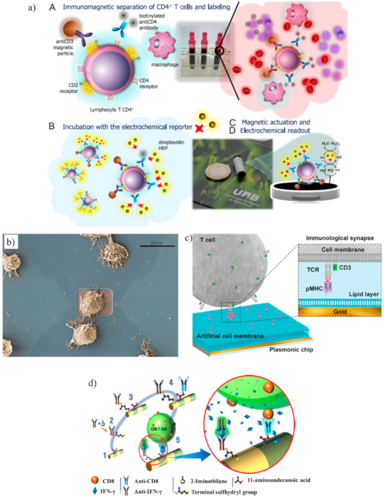 Biosensors 10 00155 g003 Biosensors 10 00155 g003