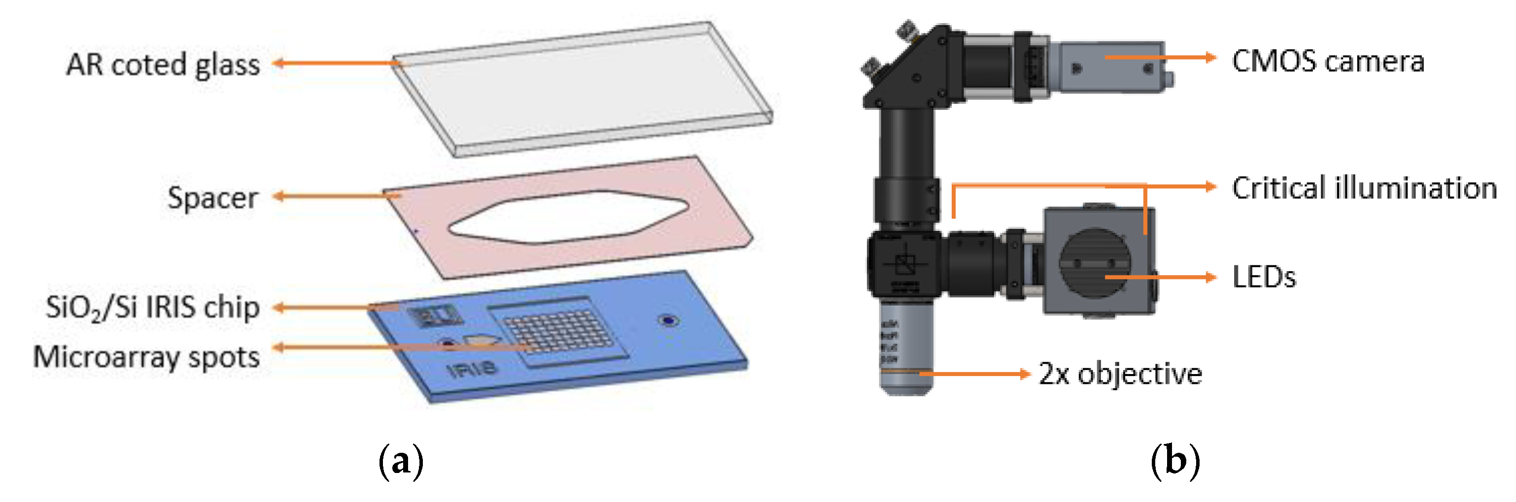 Biosensors 10 00158 g001 Biosensors 10 00158 g001