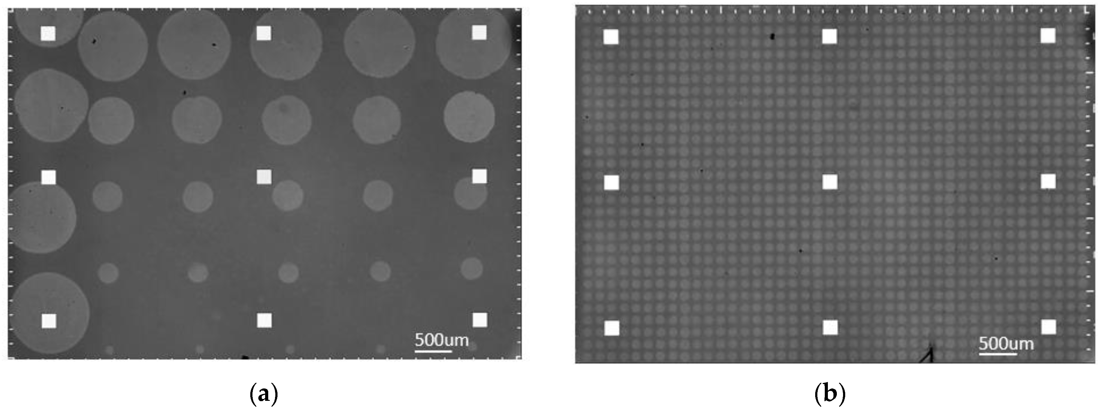 Biosensors 10 00158 g003 Biosensors 10 00158 g003