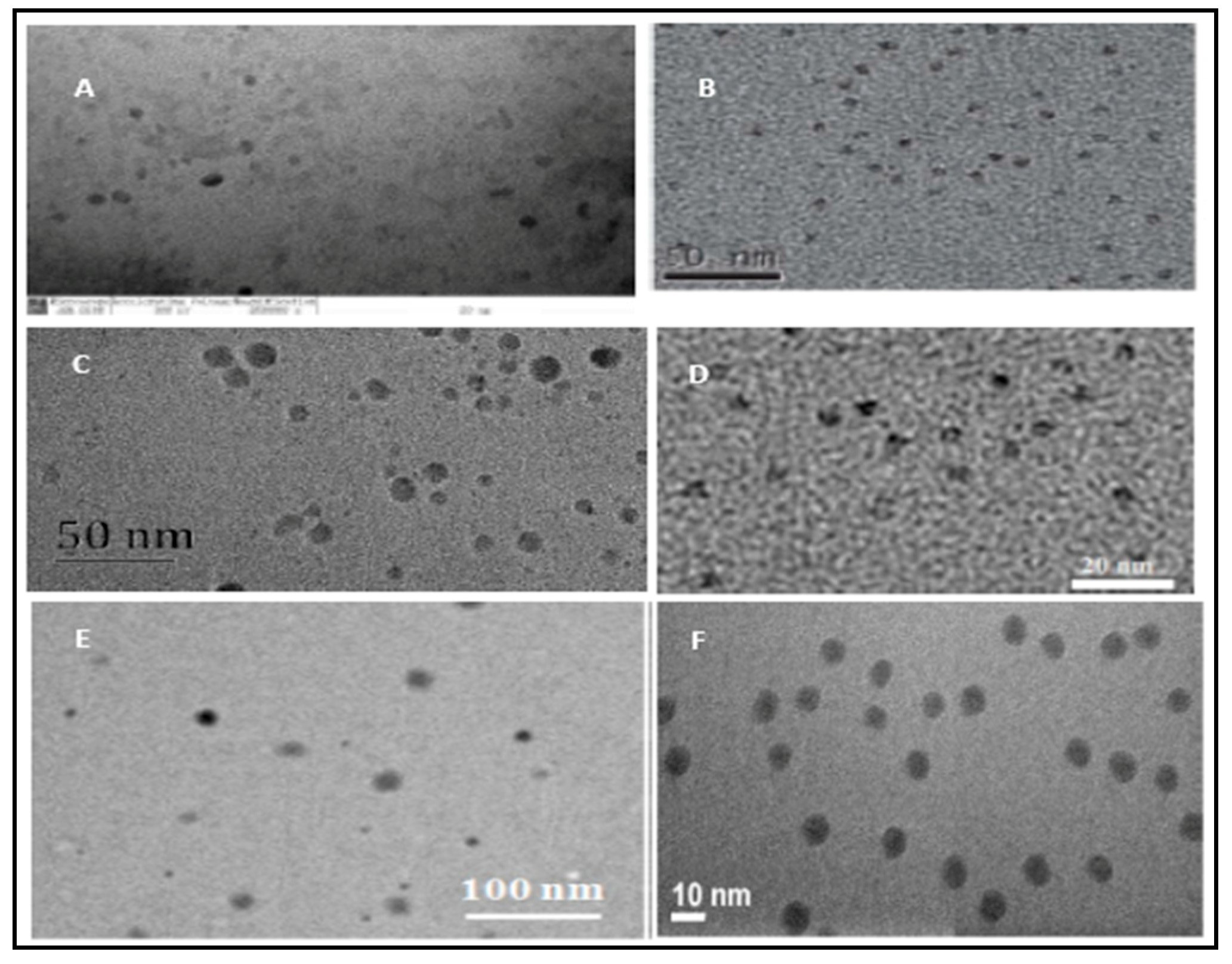 Biosensors 10 00162 g003