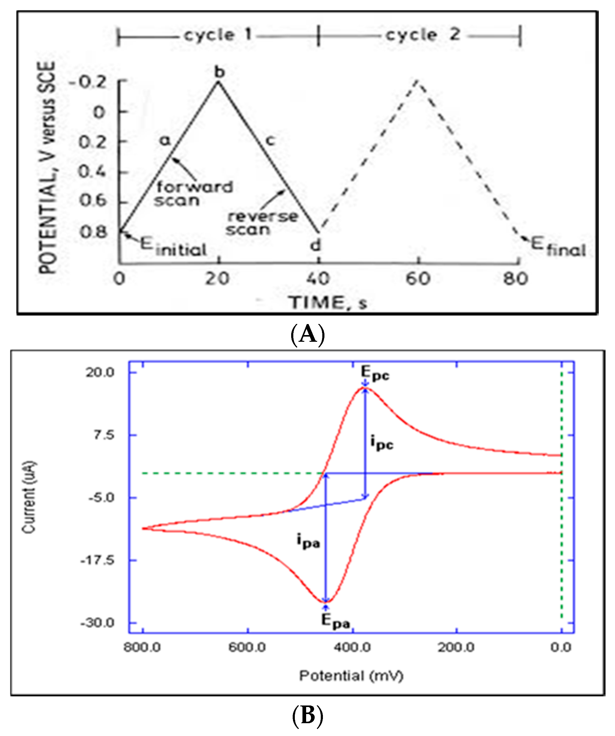 Biosensors 10 00162 g004
