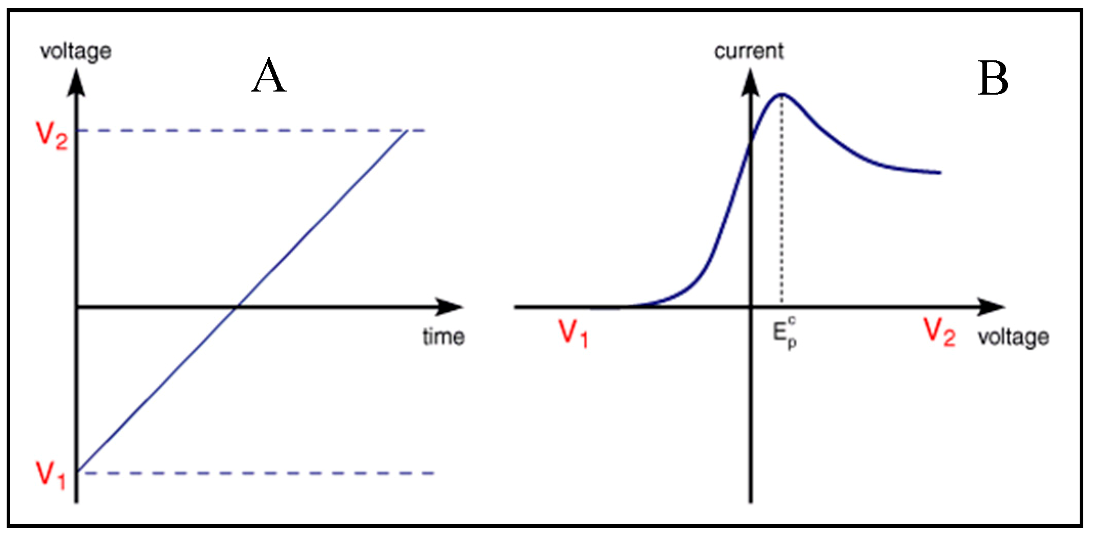Biosensors 10 00162 g007