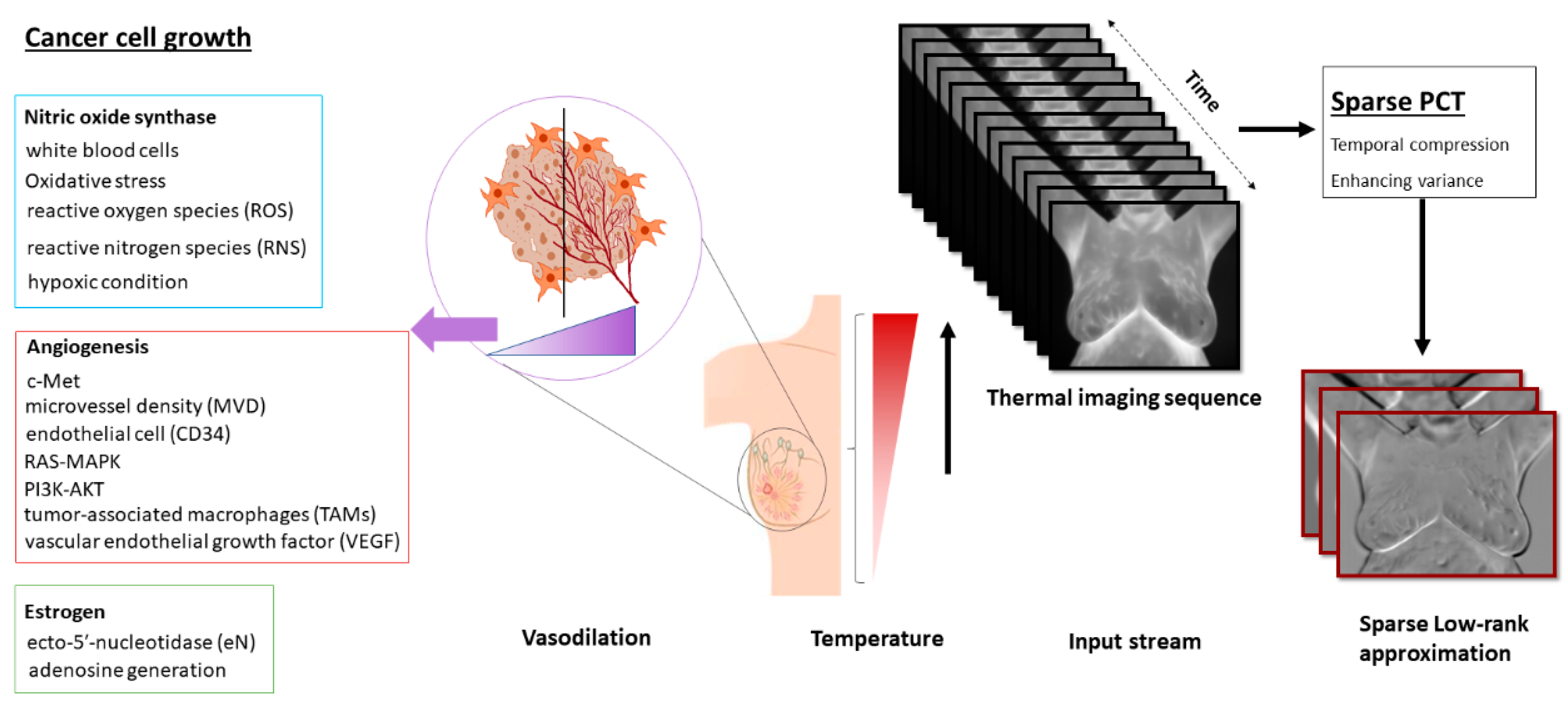Biosensors 10 00164 g001