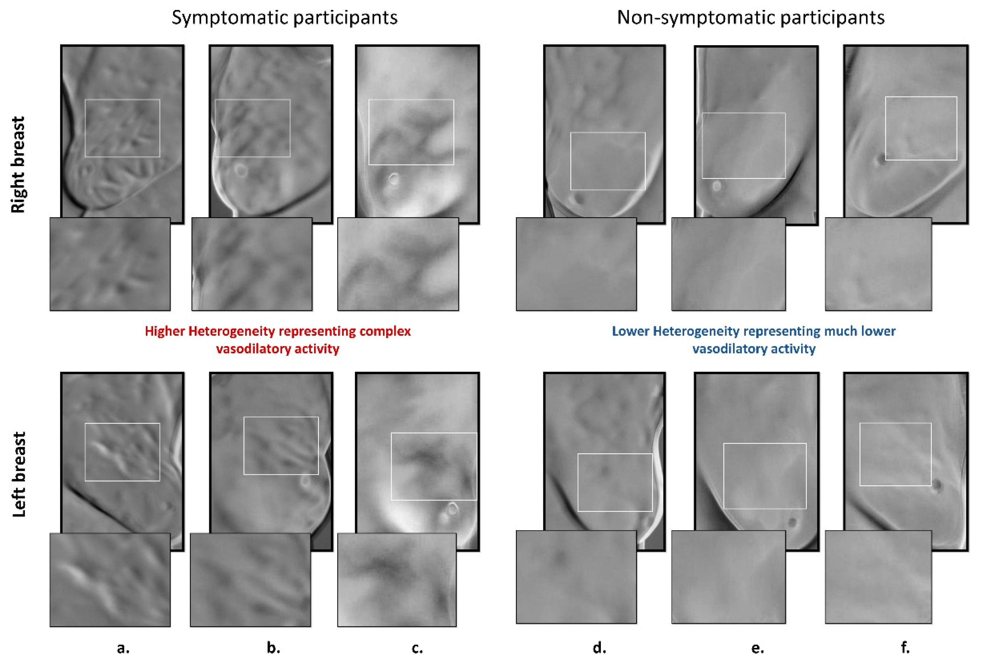 Biosensors 10 00164 g004