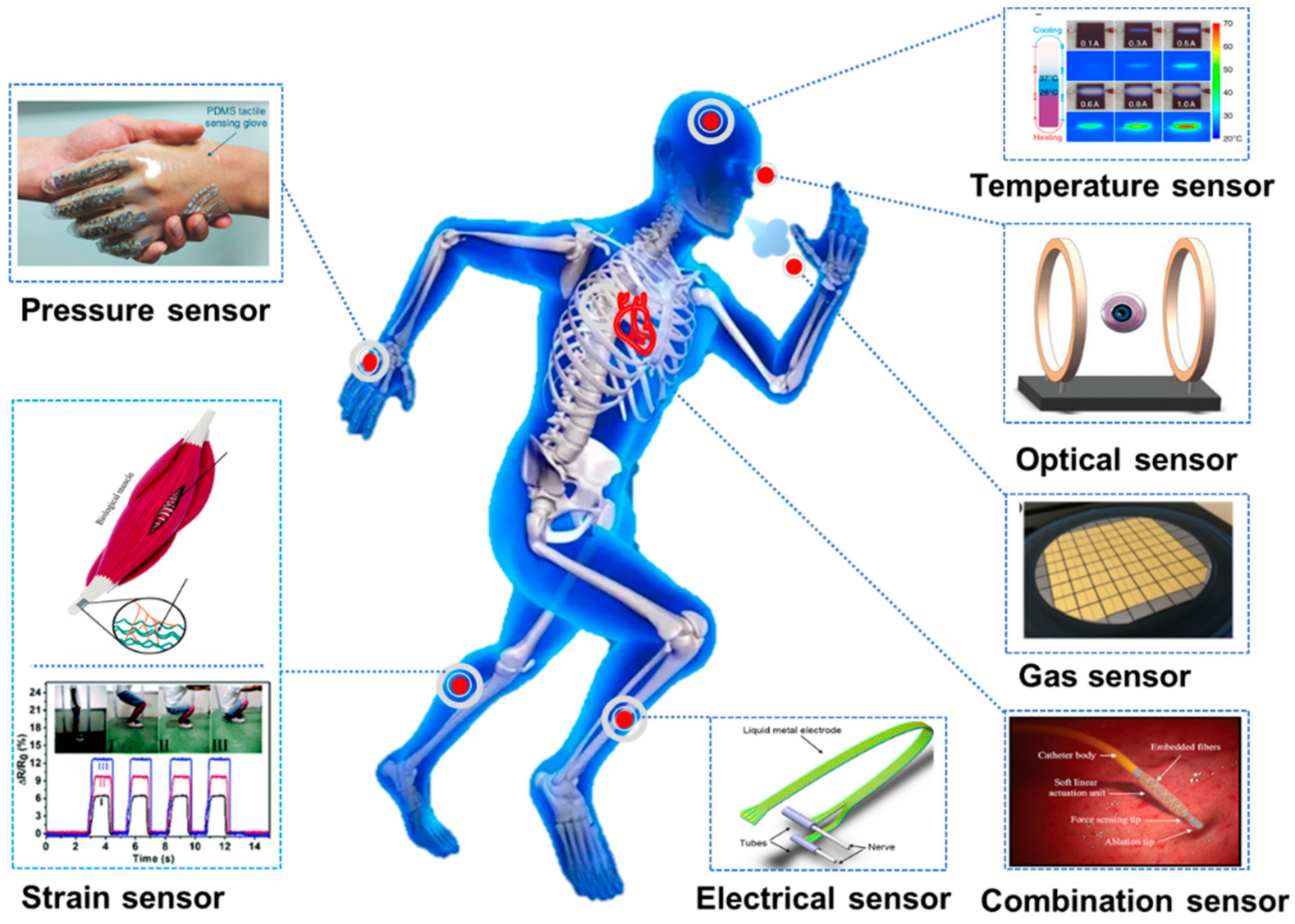 Biosensors 10 00170 g004