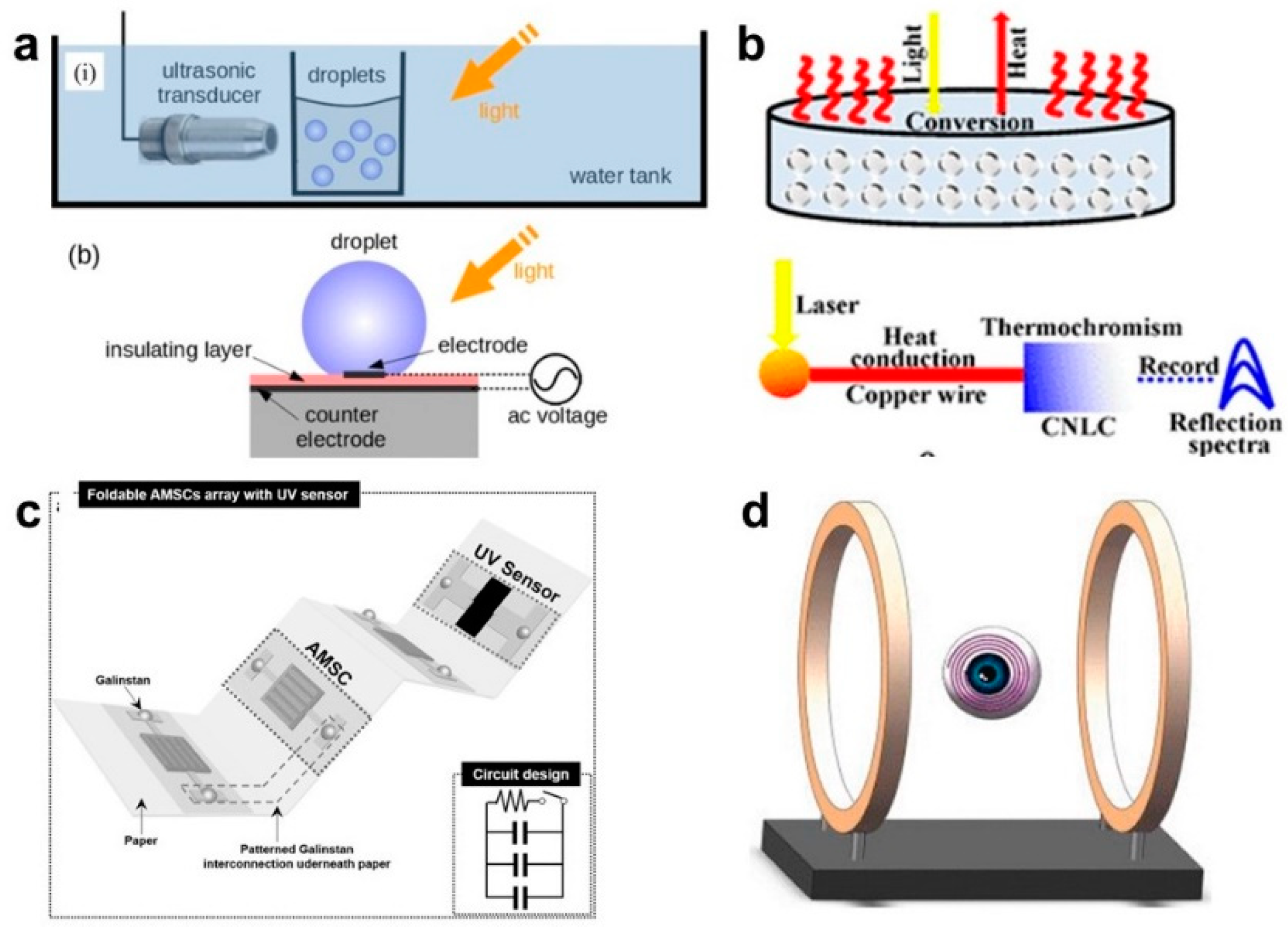 Biosensors 10 00170 g010
