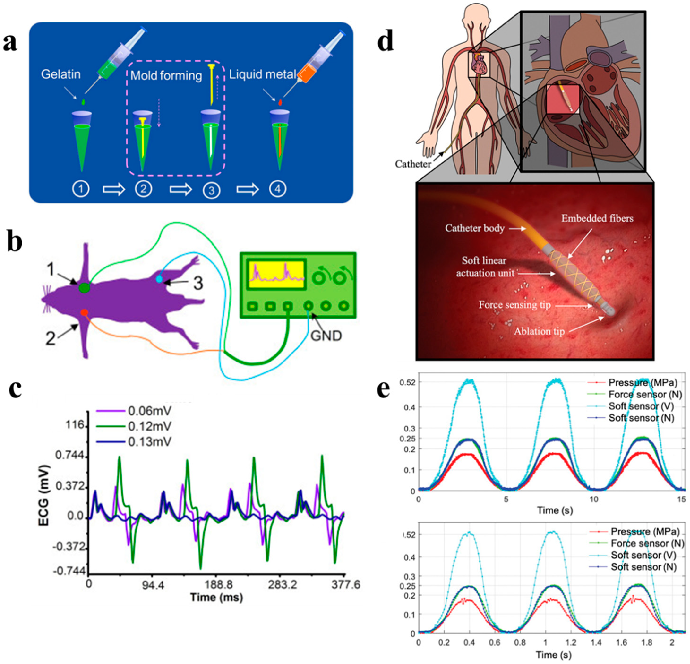 Biosensors 10 00170 g012