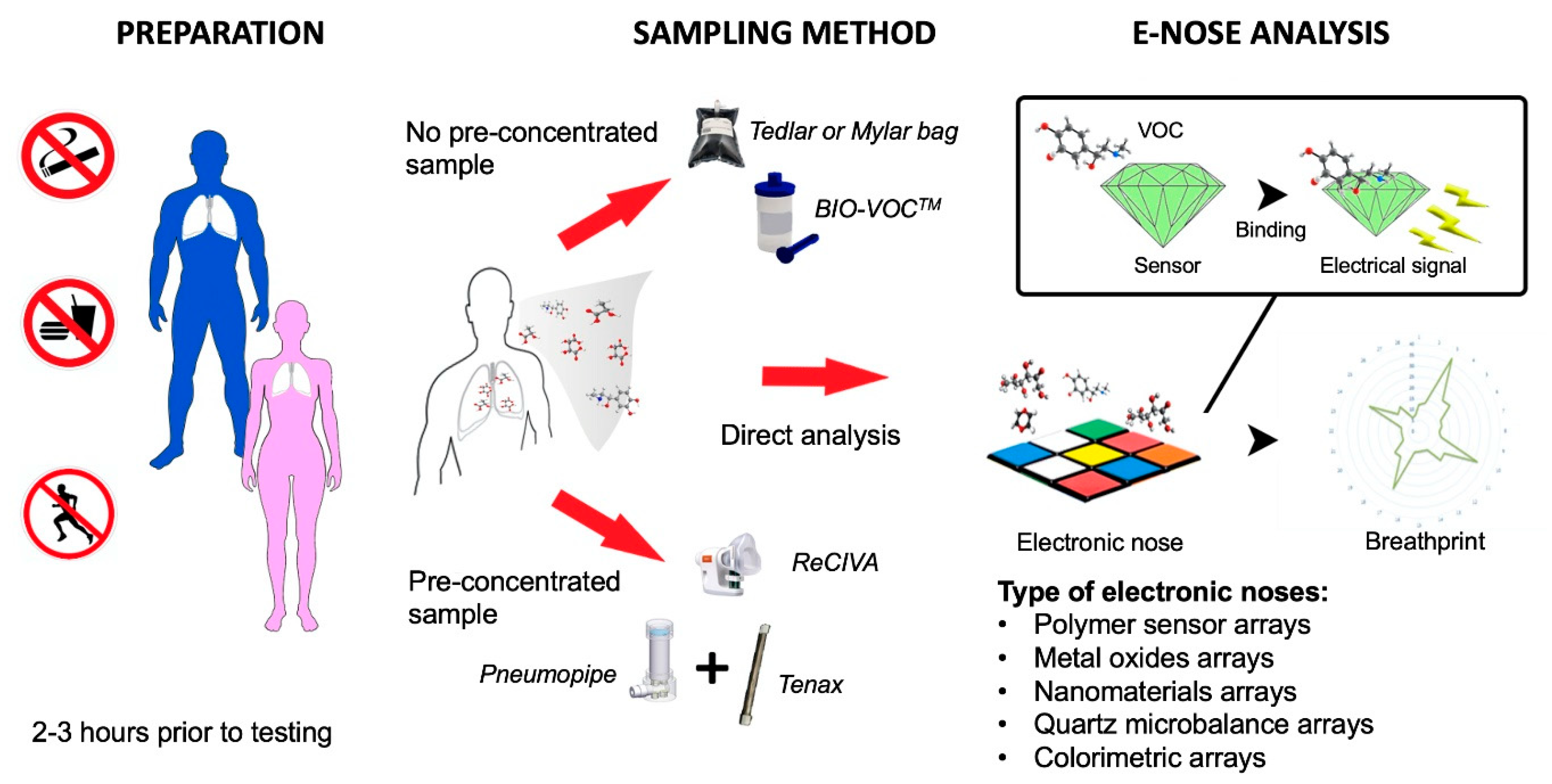 Biosensors 10 00171 g002