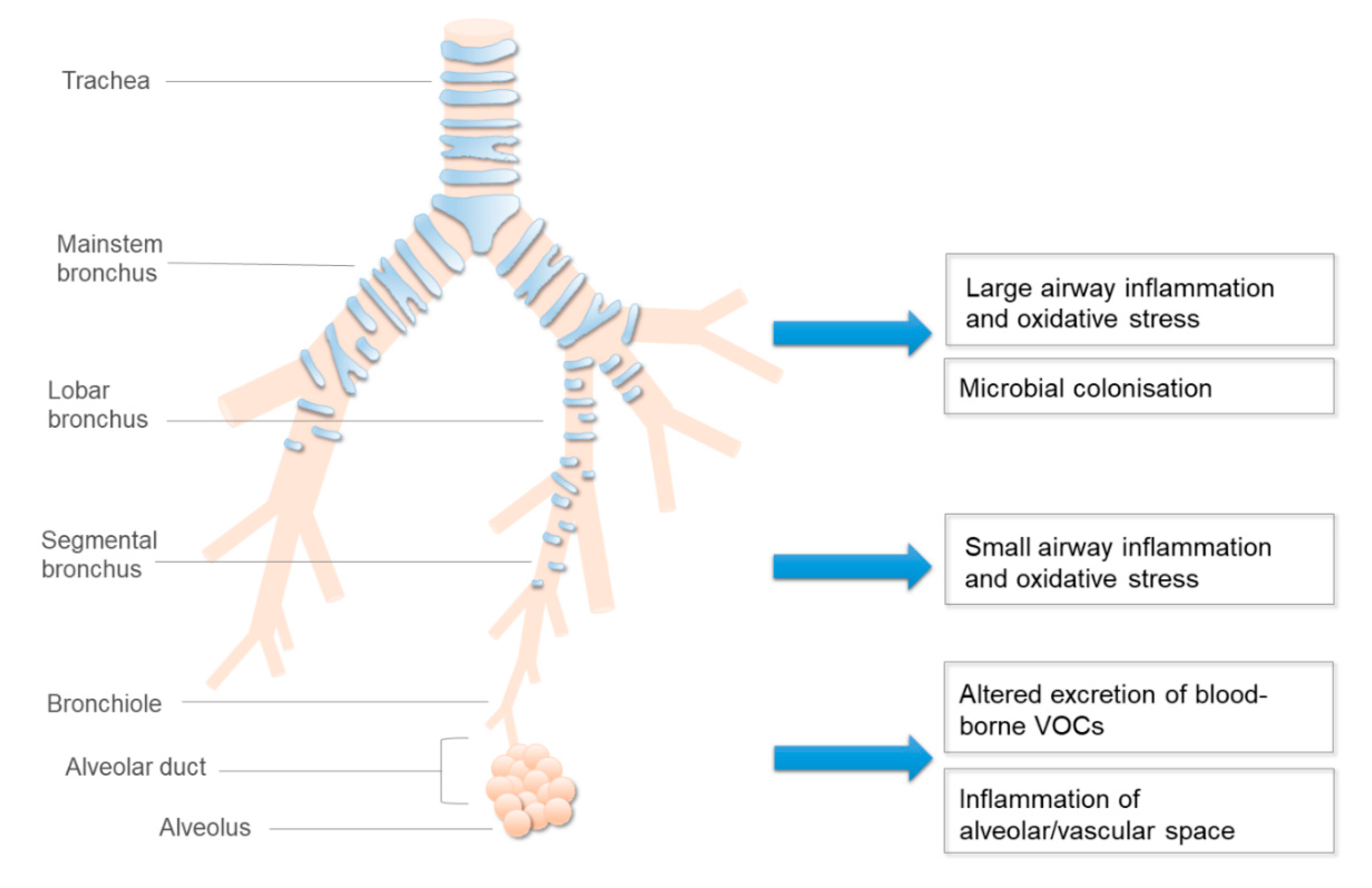 Biosensors 10 00171 g003