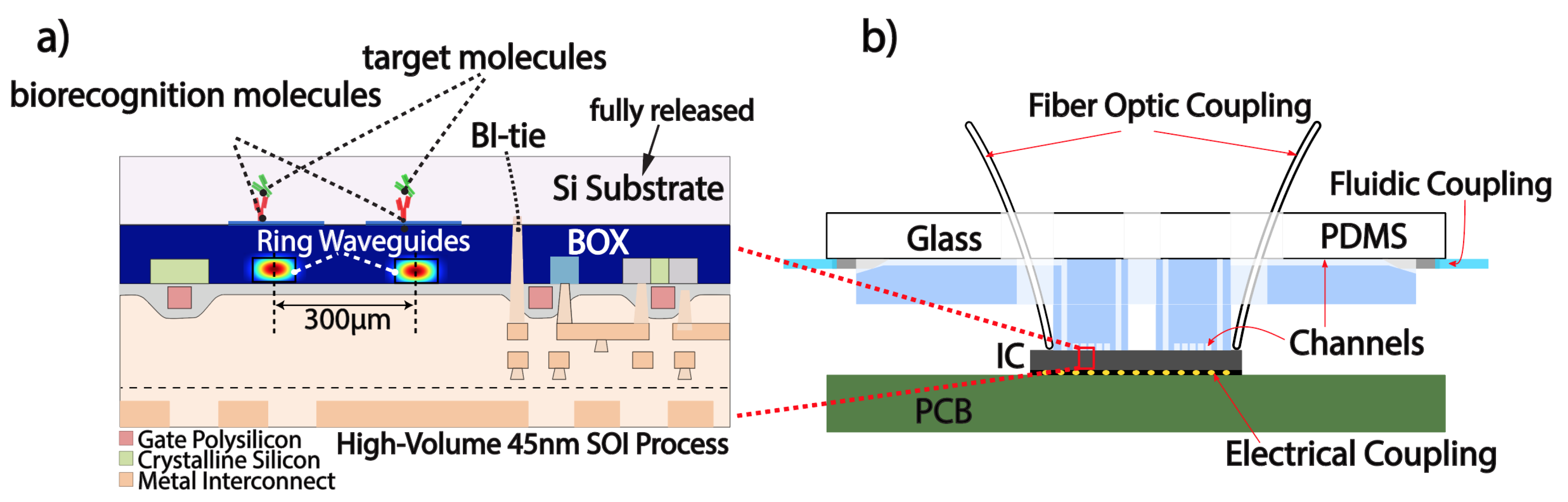 Biosensors 10 00177 g001