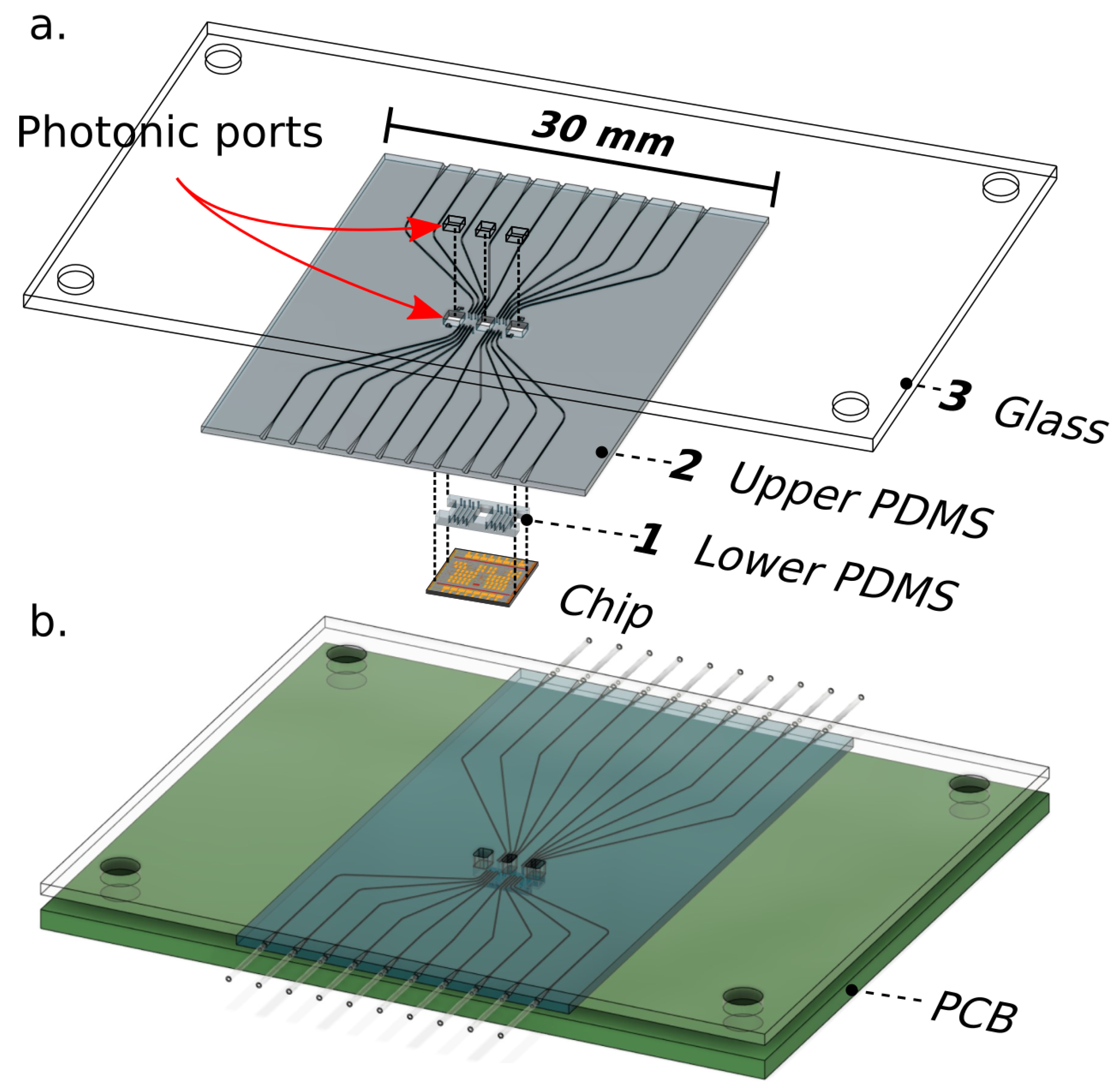 Biosensors 10 00177 g004