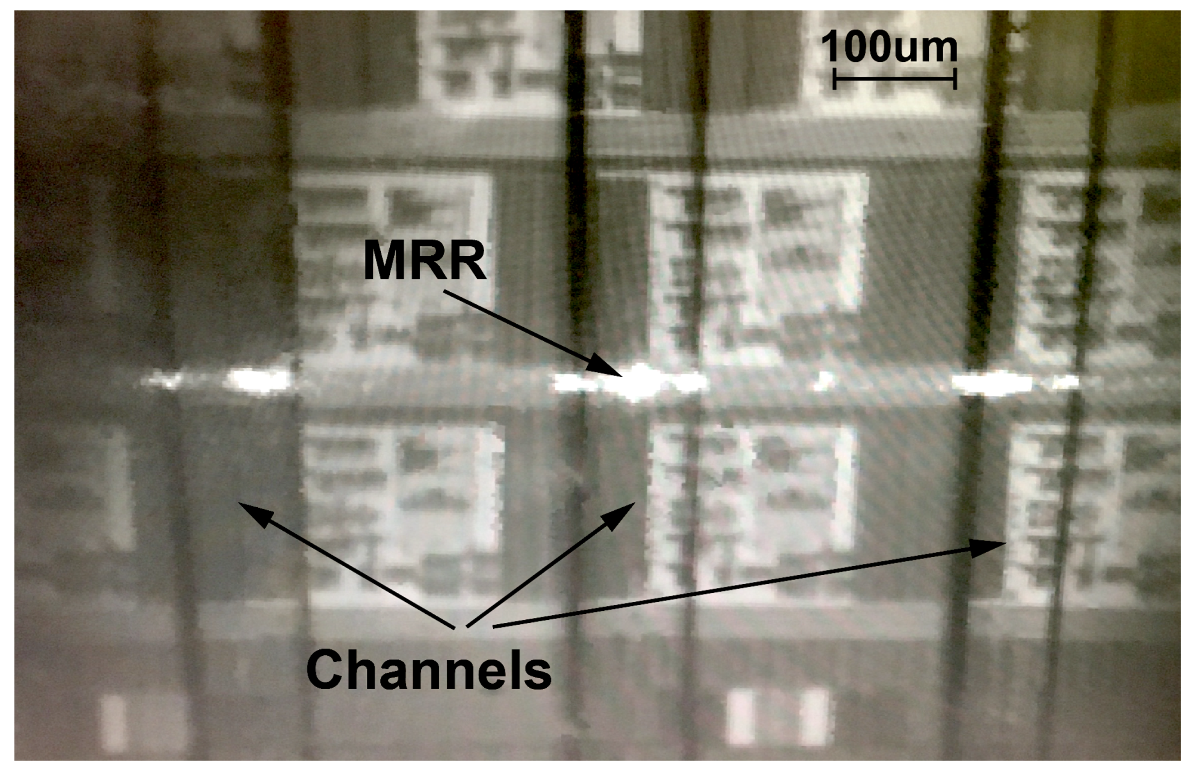 Biosensors 10 00177 g006