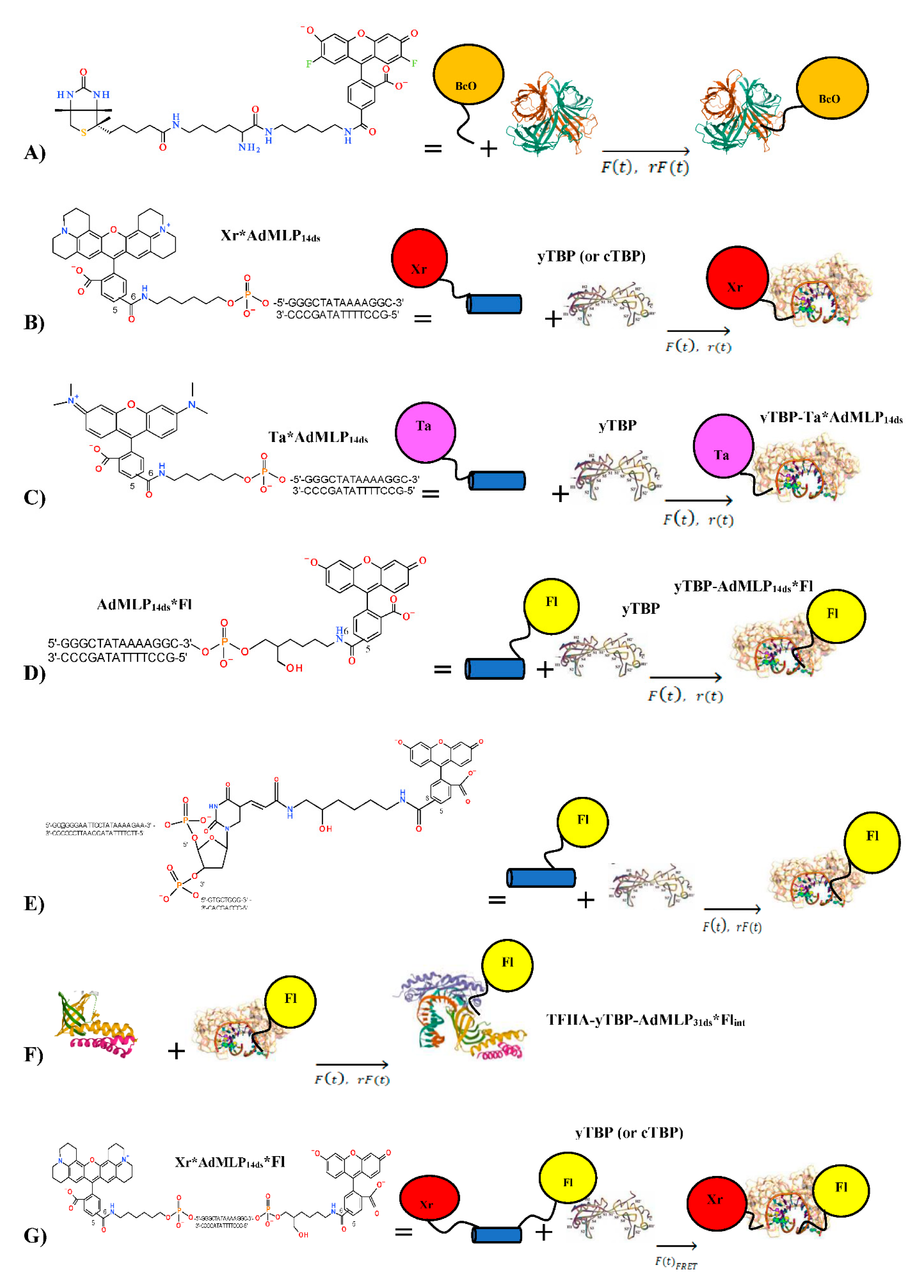 Biosensors 10 00180 g001 Biosensors 10 00180 g001