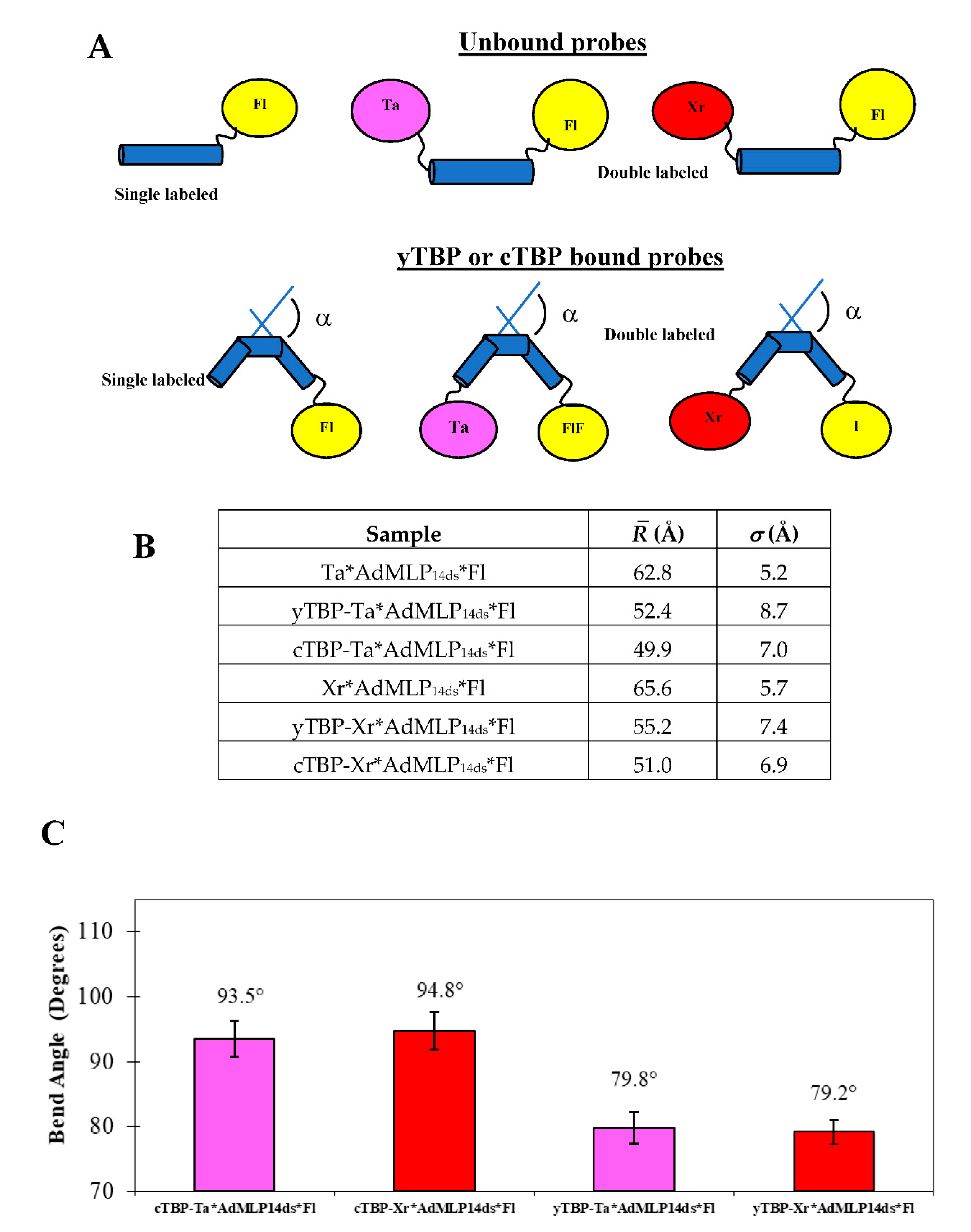 Biosensors 10 00180 g009 Biosensors 10 00180 g009