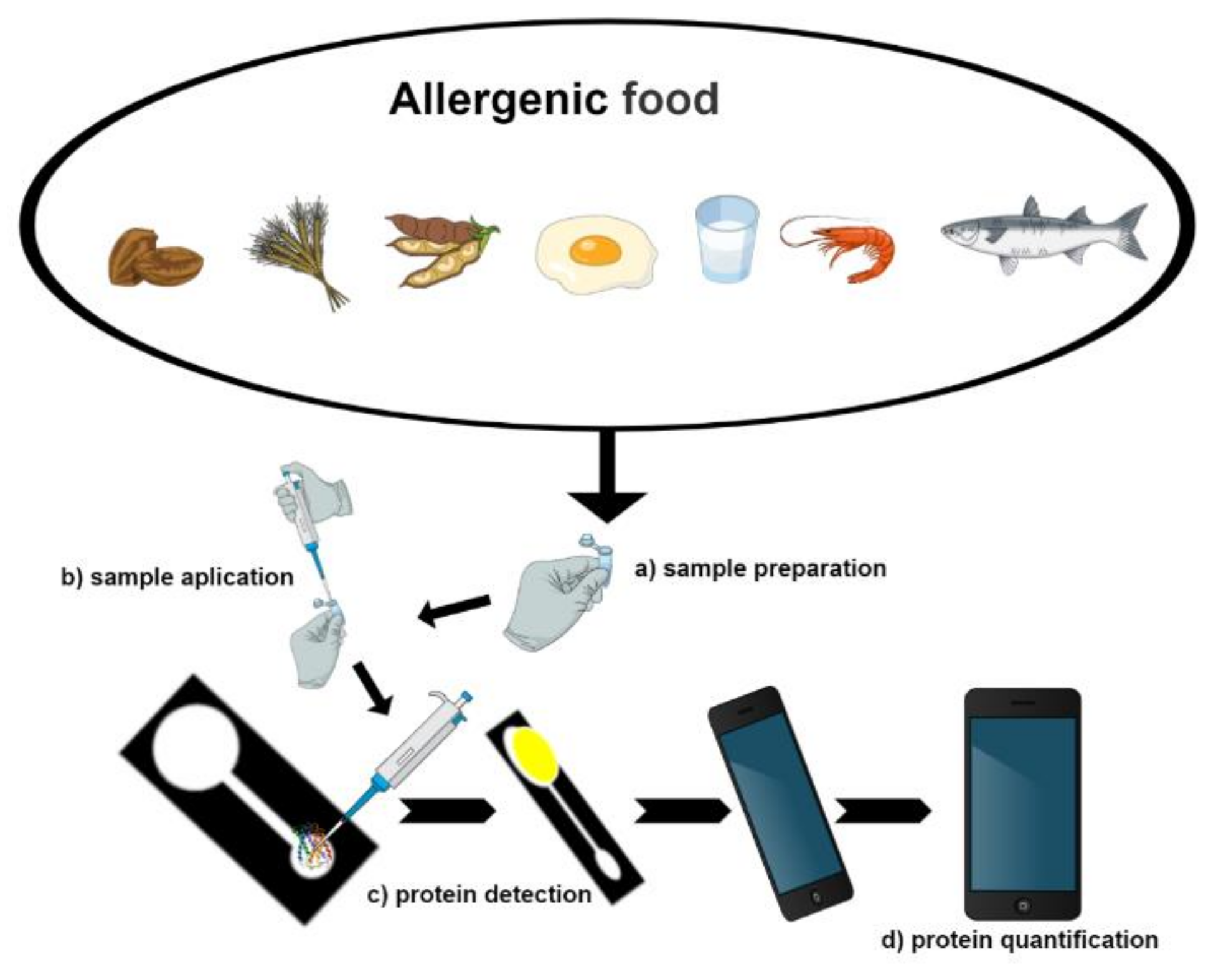 Biosensors 10 00194 g003