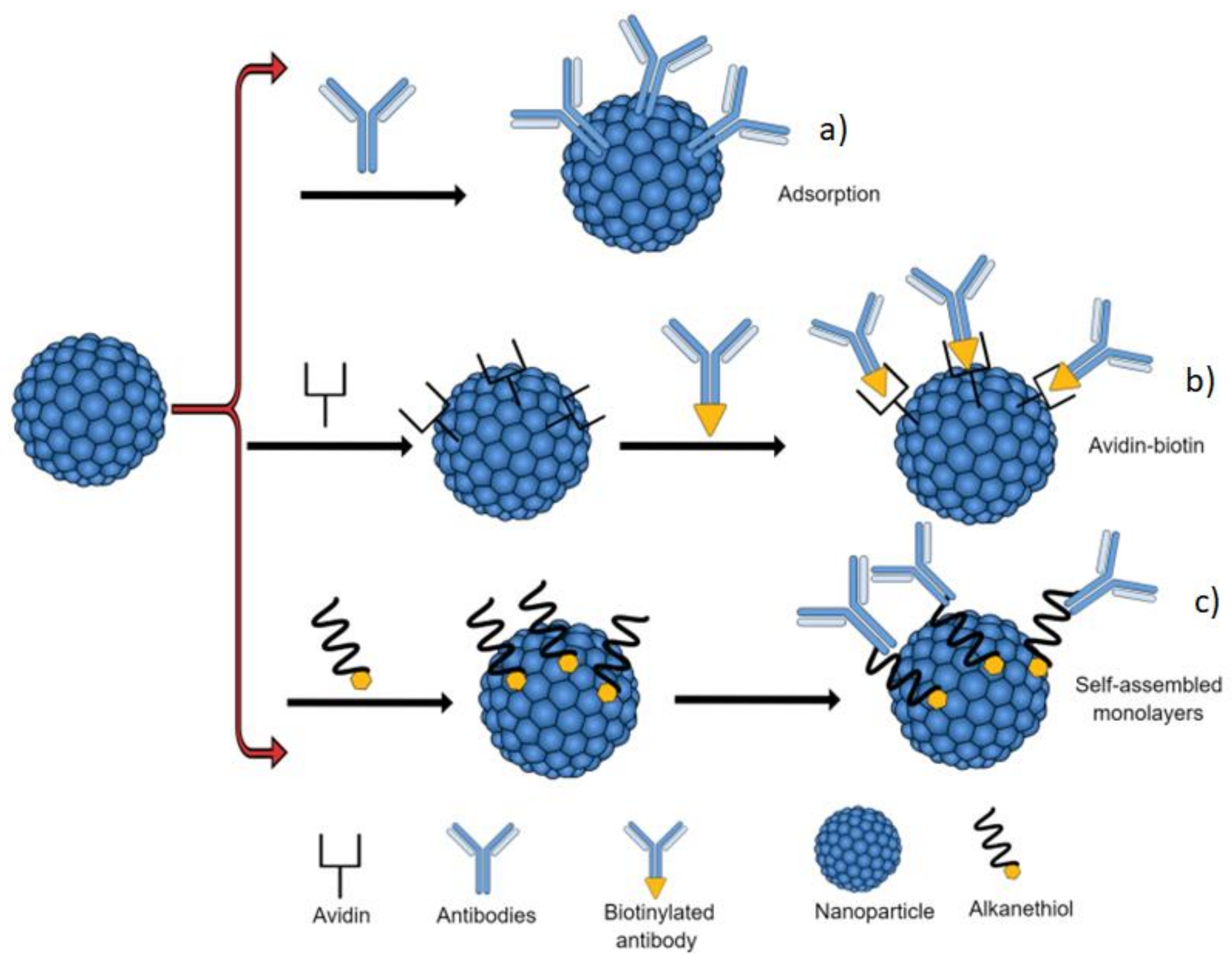 Biosensors 10 00194 g005