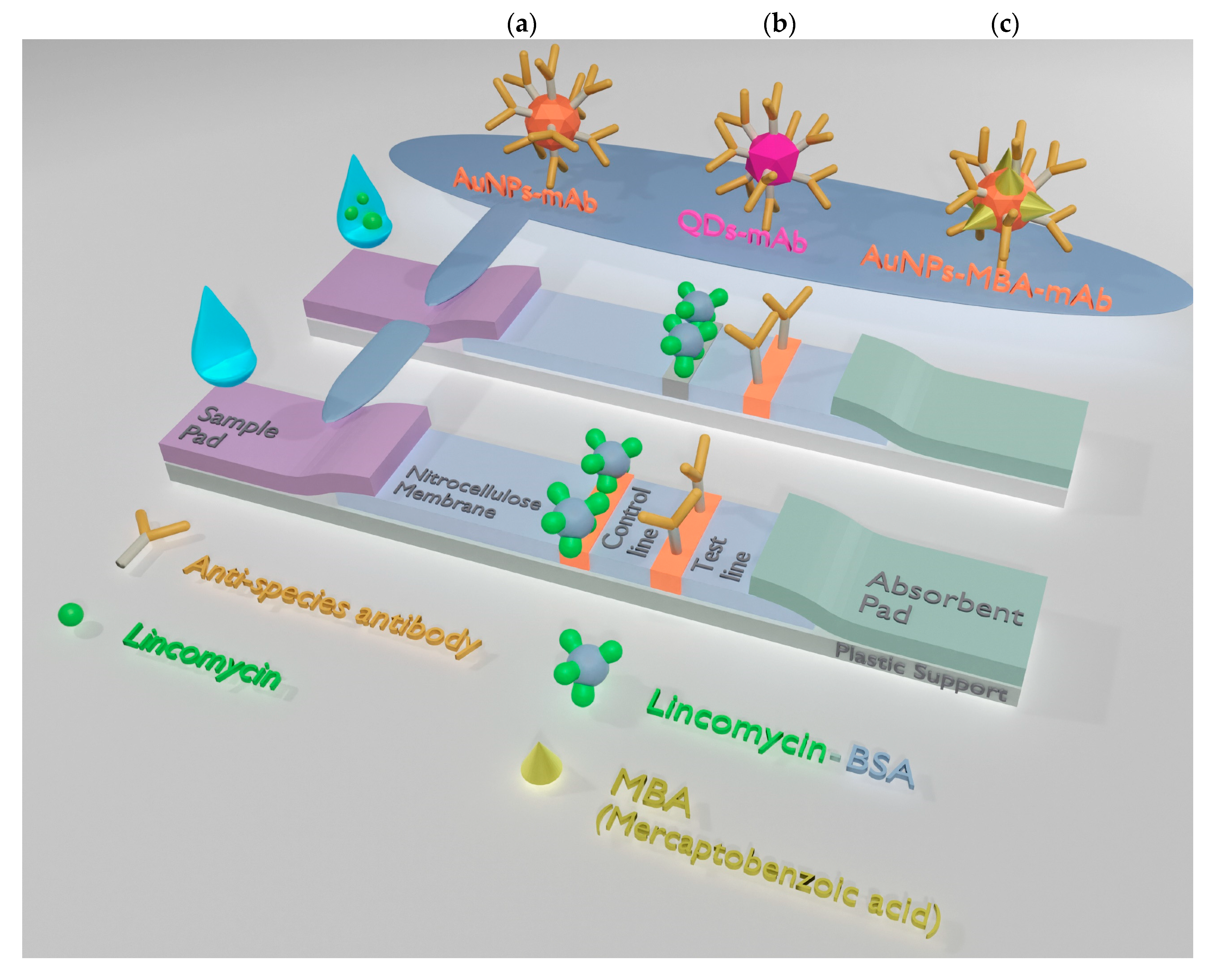 Biosensors 10 00198 g001