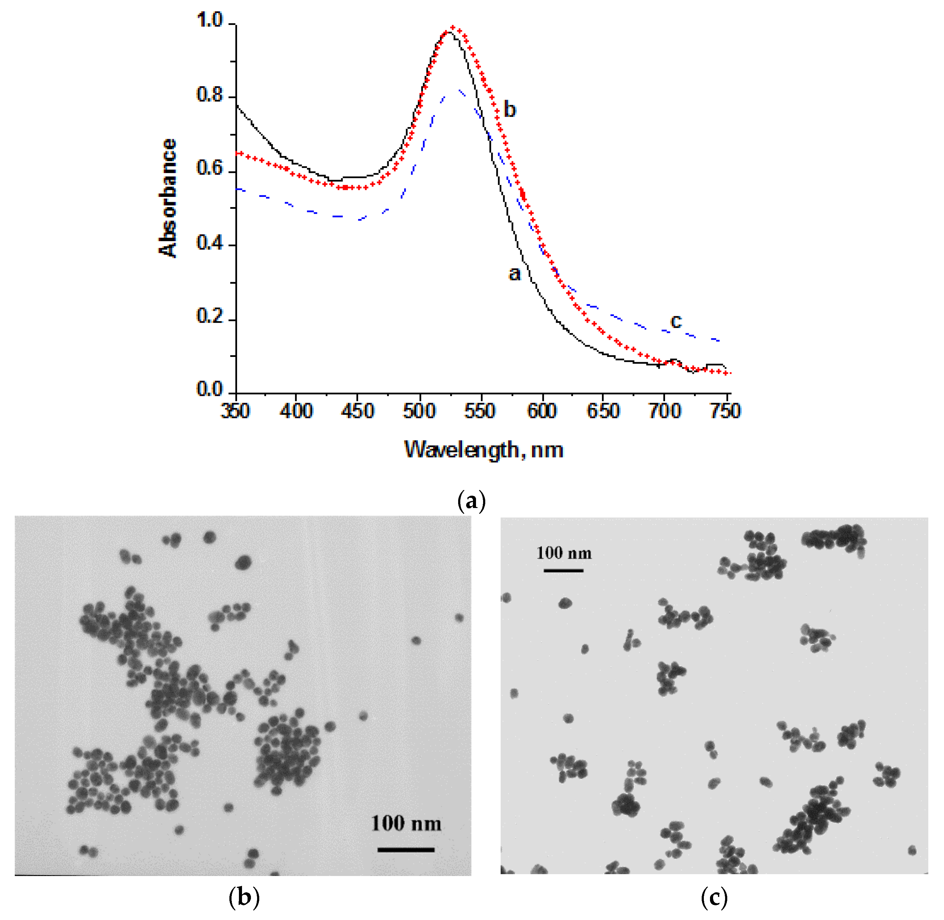 Biosensors 10 00198 g002