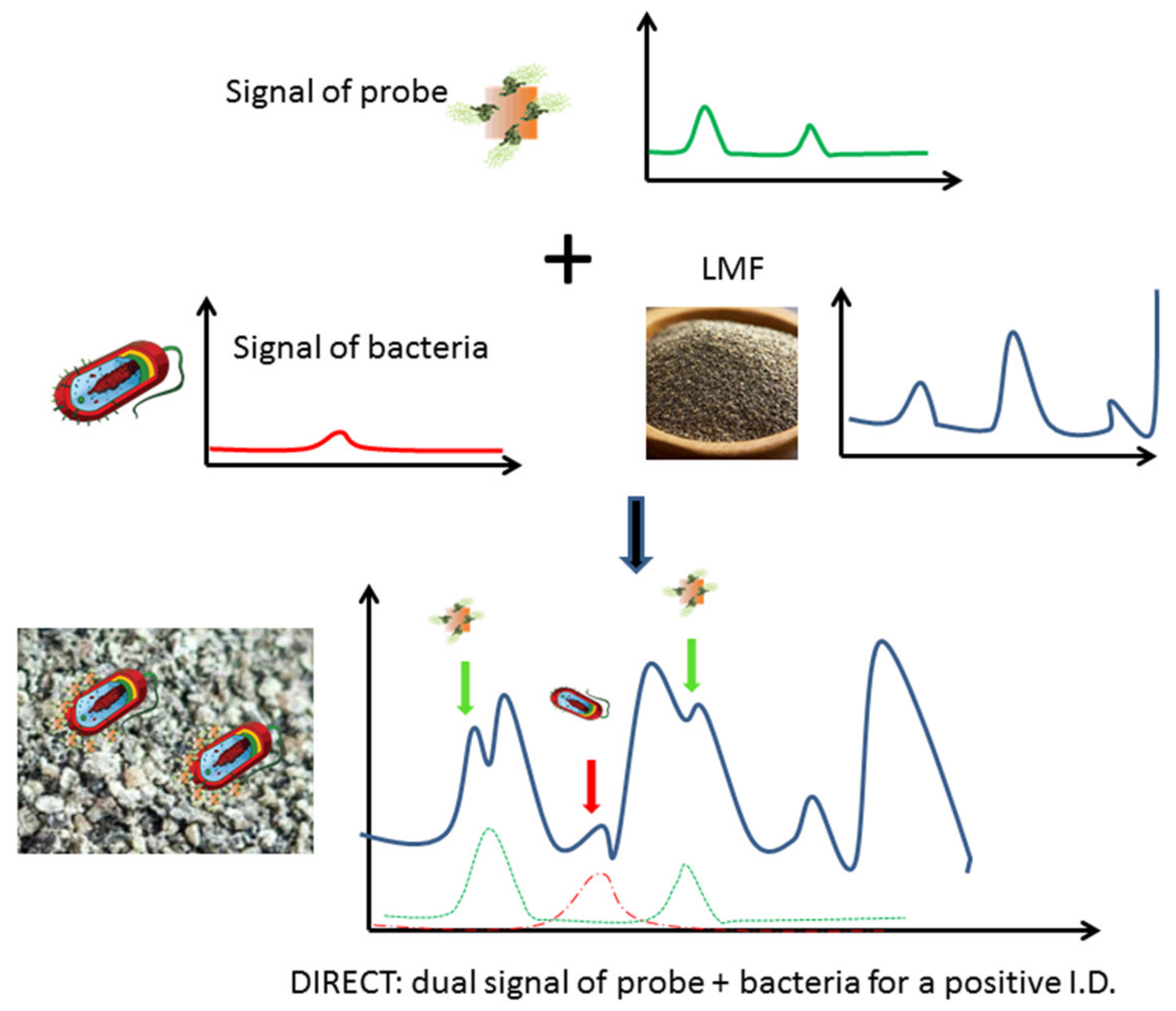 Biosensors 10 00200 g001 Biosensors 10 00200 g001