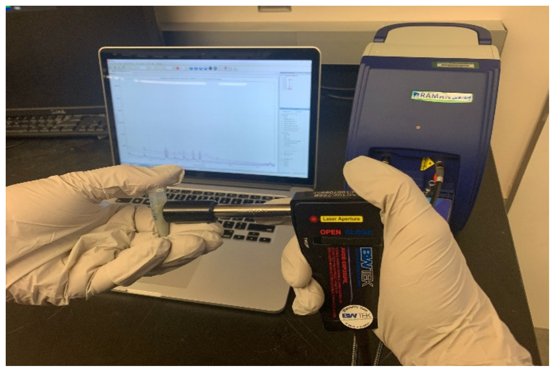 Biosensors 10 00200 g002 Biosensors 10 00200 g002