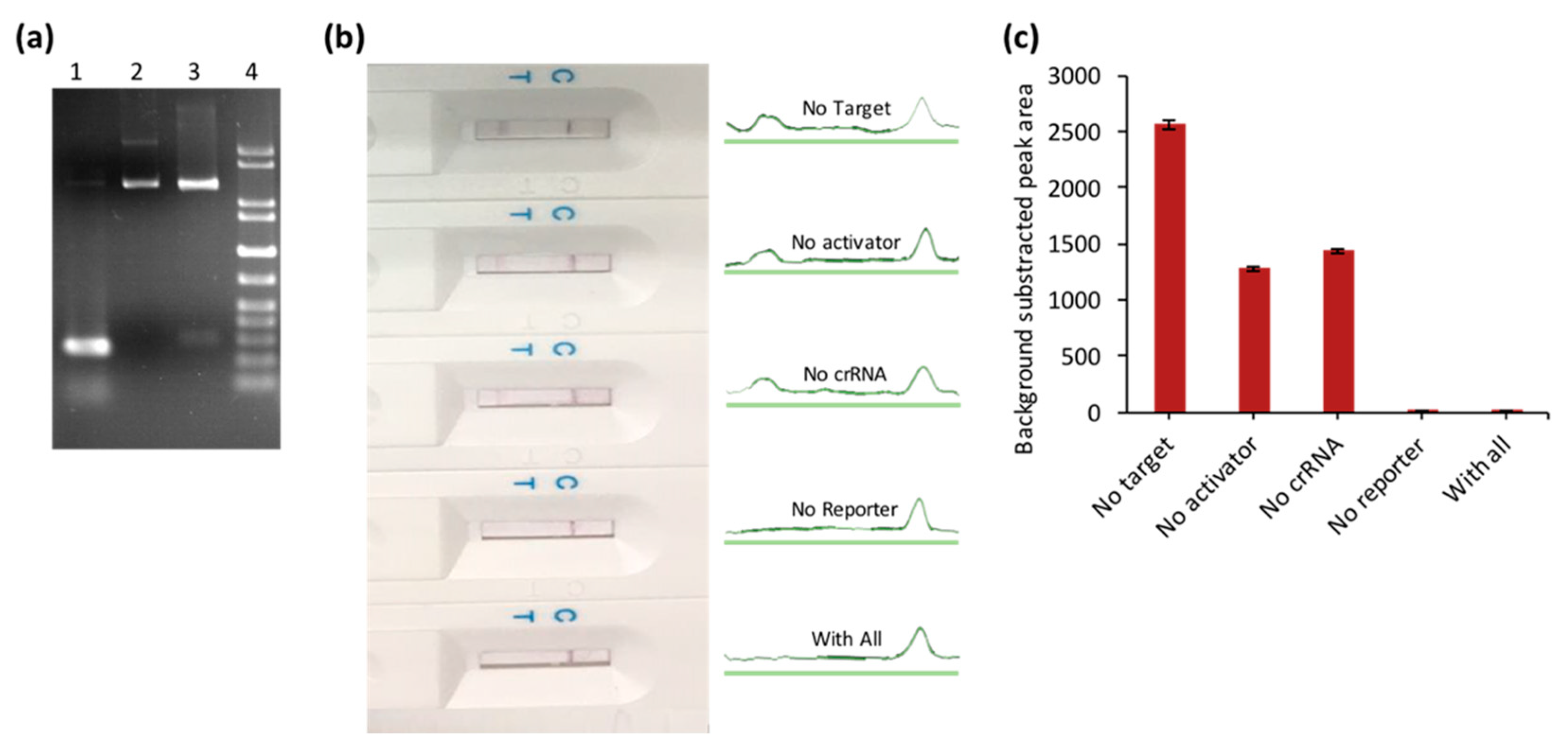 Biosensors 10 00203 g003 Biosensors 10 00203 g003