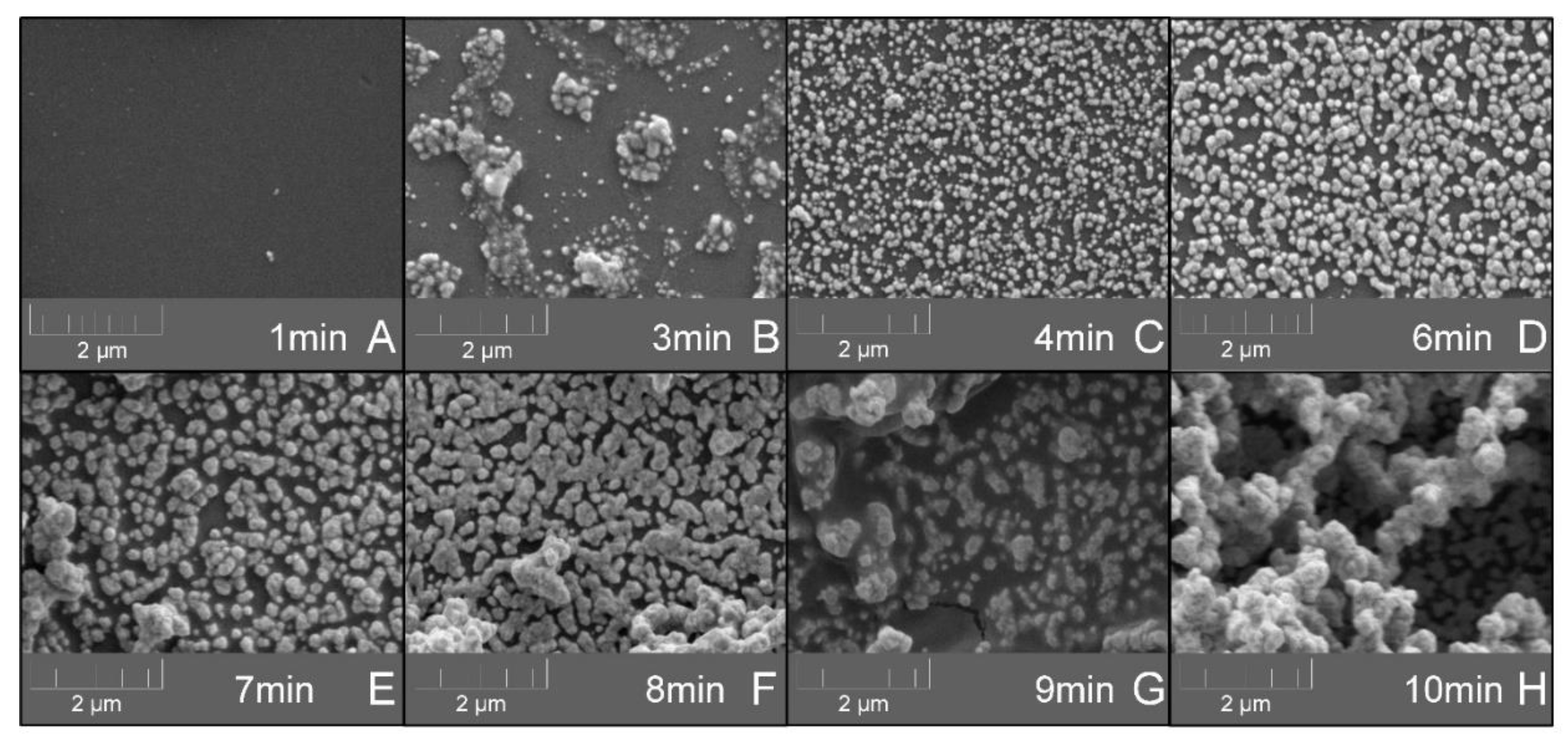 Biosensors 10 00204 g007 Biosensors 10 00204 g007