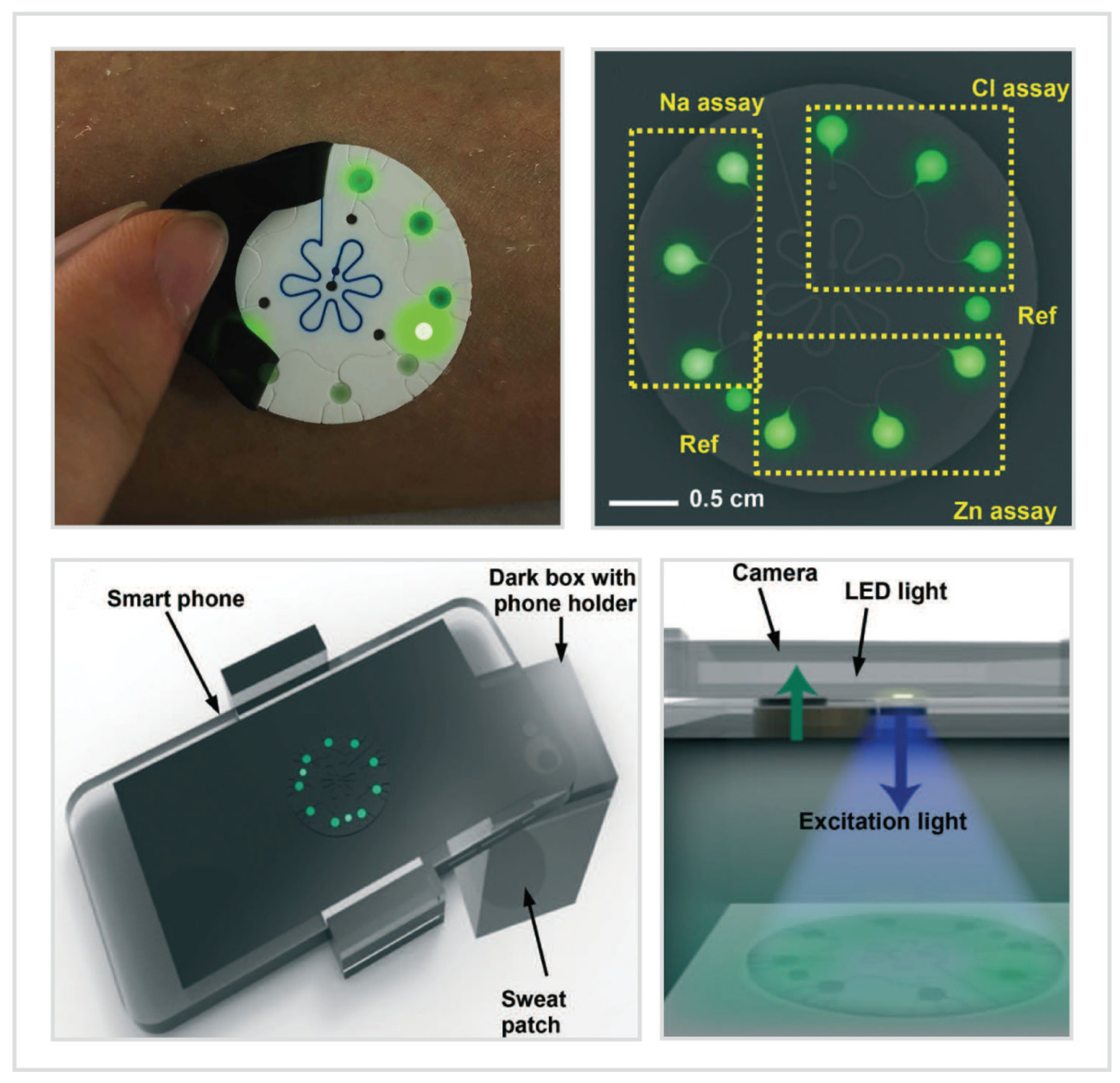 Biosensors 10 00205 g005