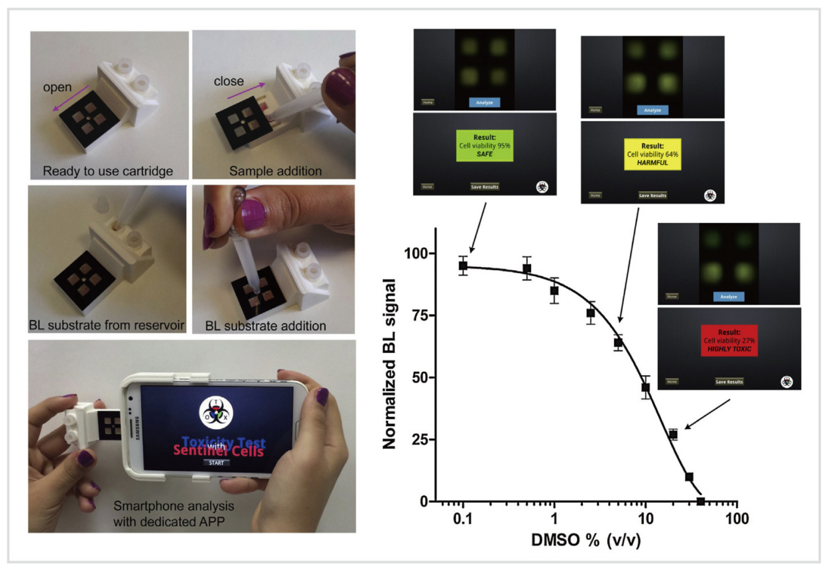 Biosensors 10 00205 g006