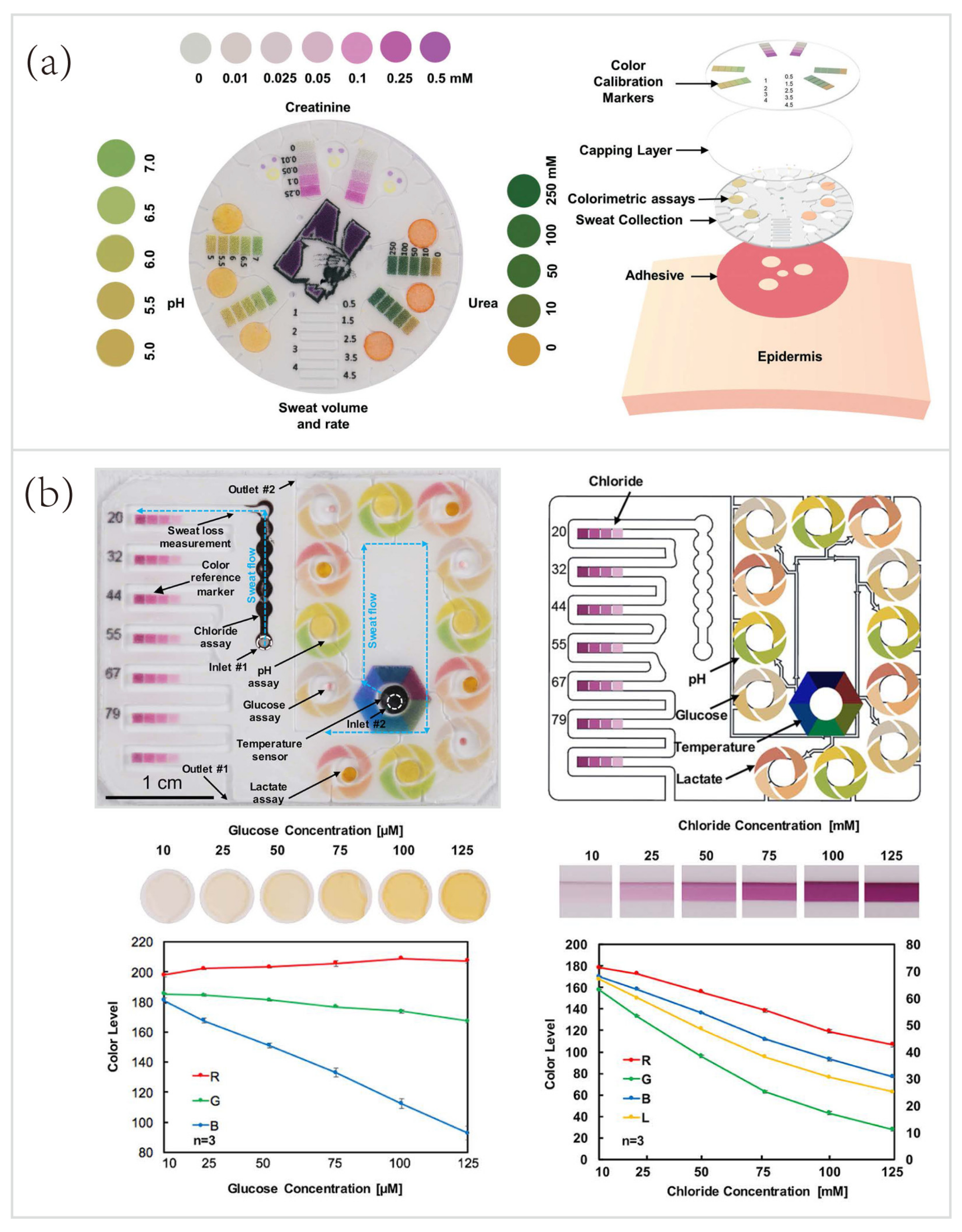 Biosensors 10 00205 g007