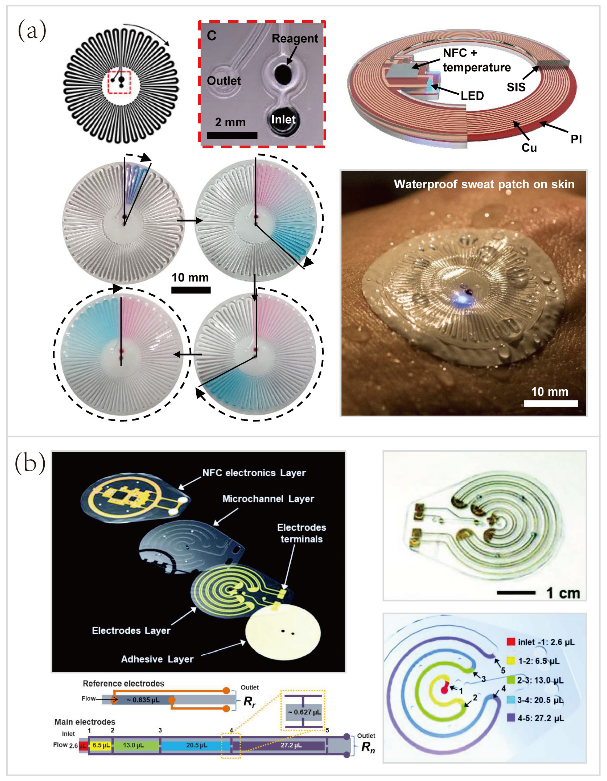 Biosensors 10 00205 g009