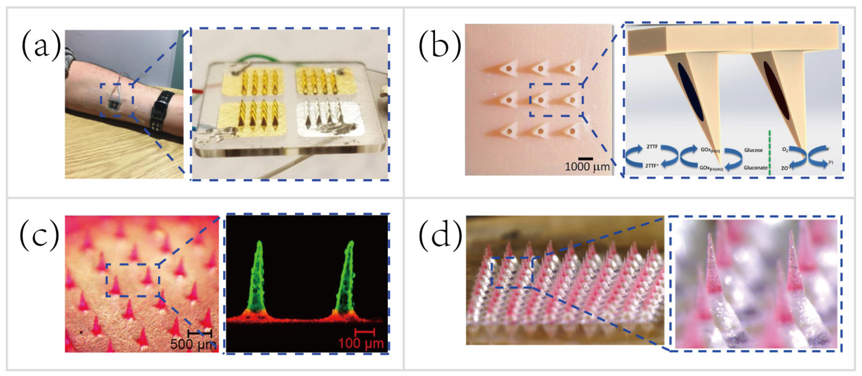 Biosensors 10 00205 g011