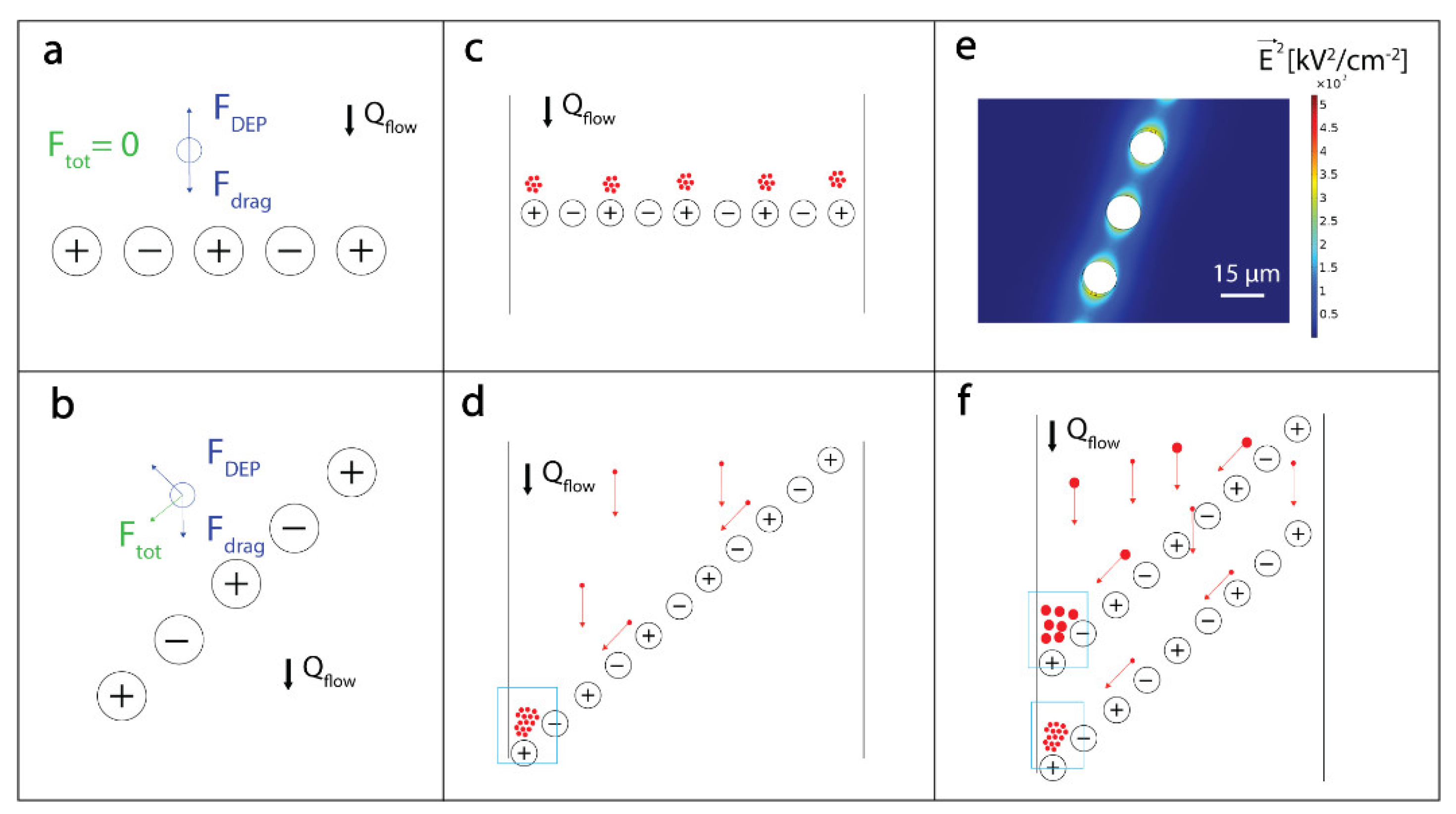Biosensors 10 00212 g002