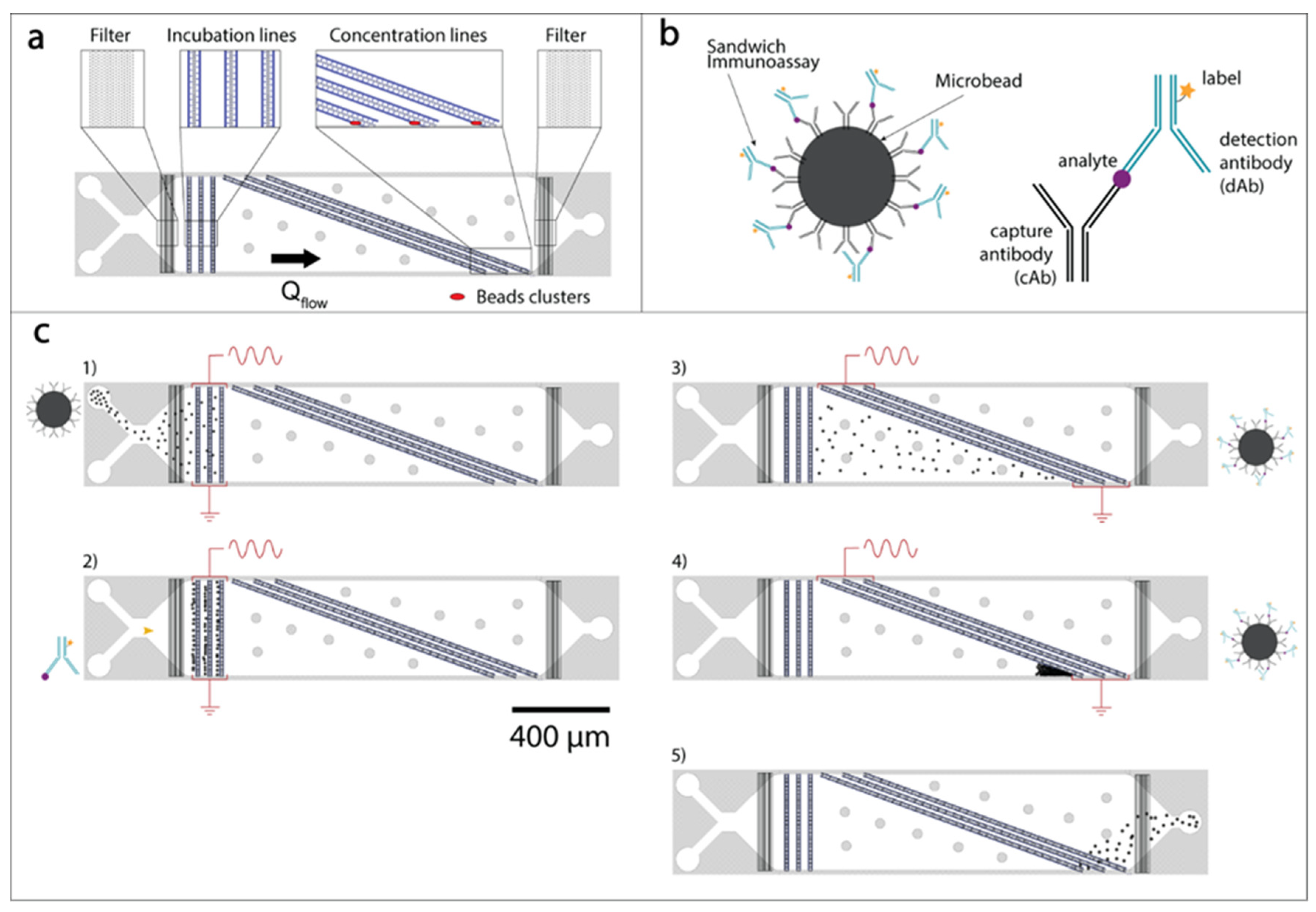Biosensors 10 00212 g003