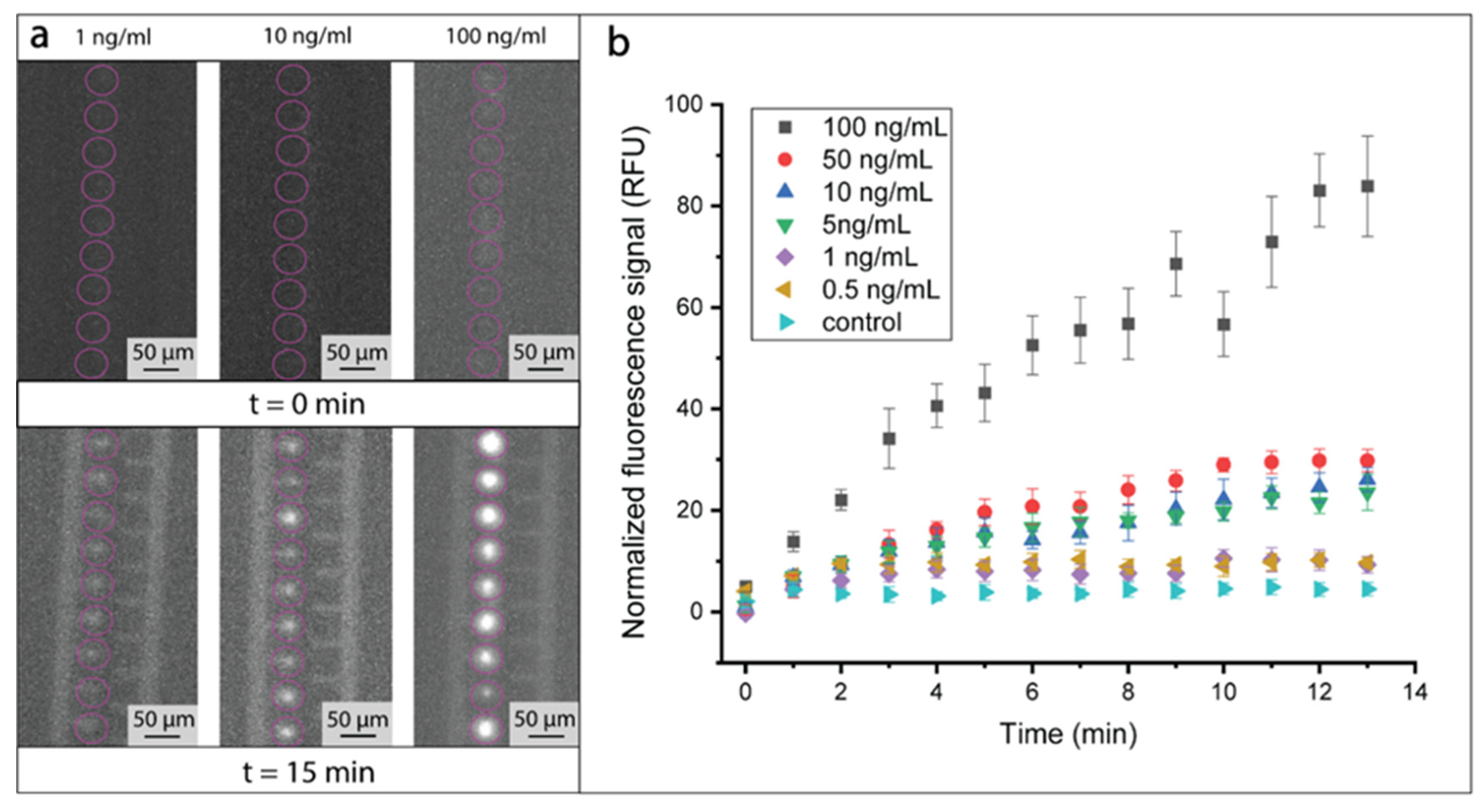 Biosensors 10 00212 g004