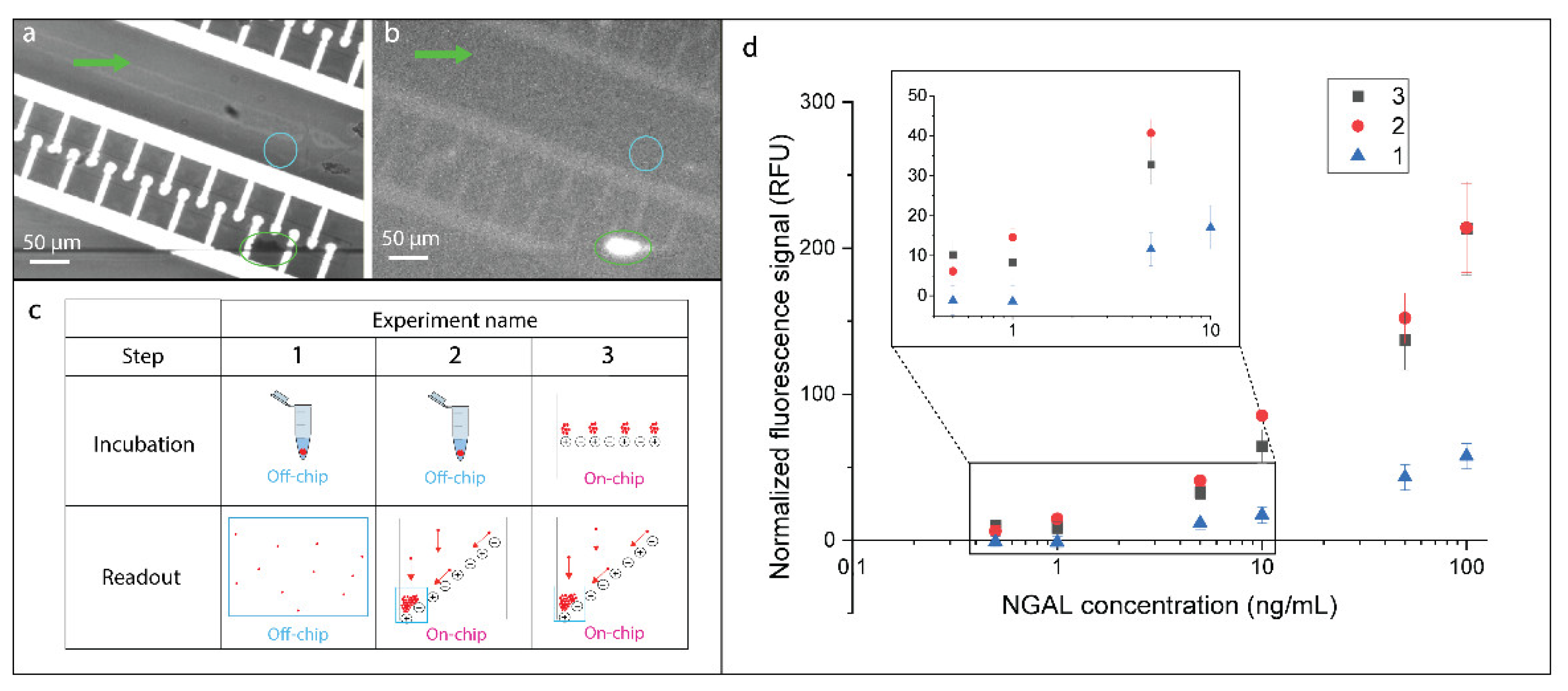 Biosensors 10 00212 g005