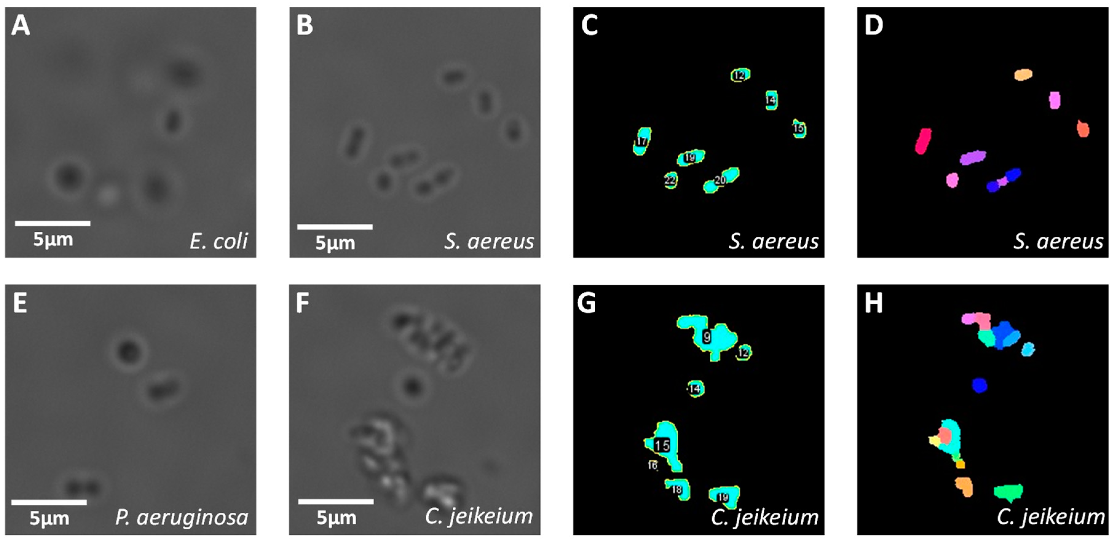 Biosensors 11 00002 g003