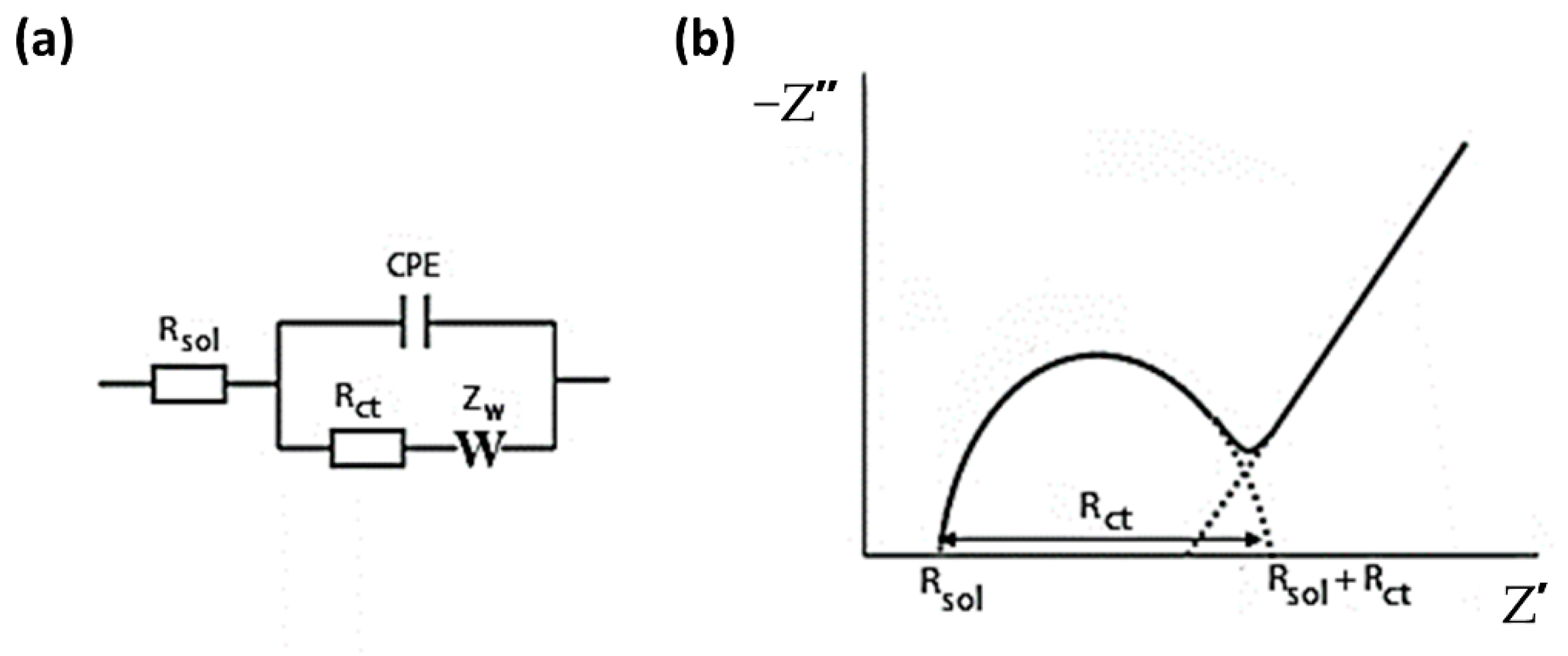 Biosensors 11 00003 g001