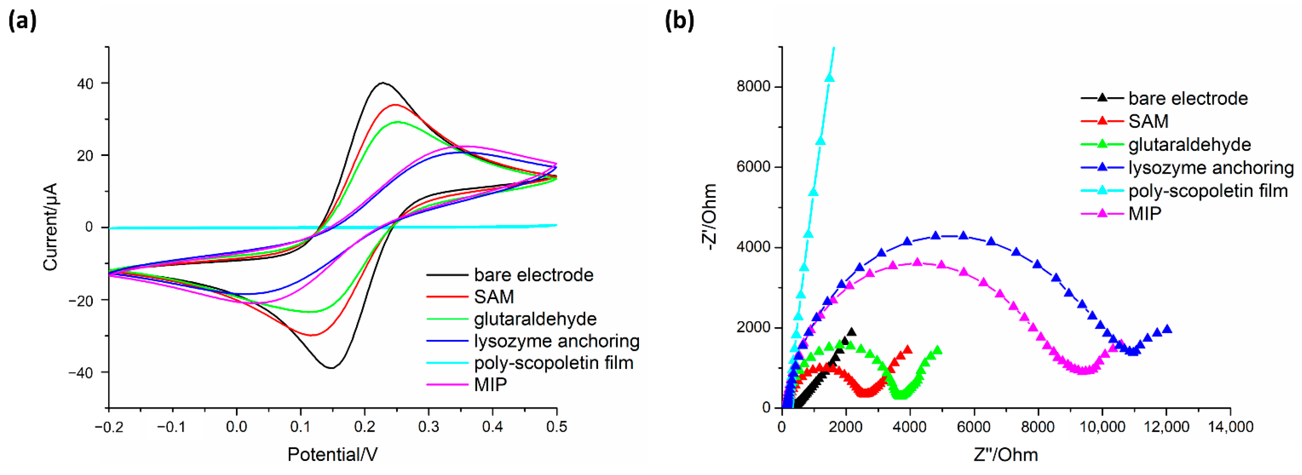 Biosensors 11 00003 g003