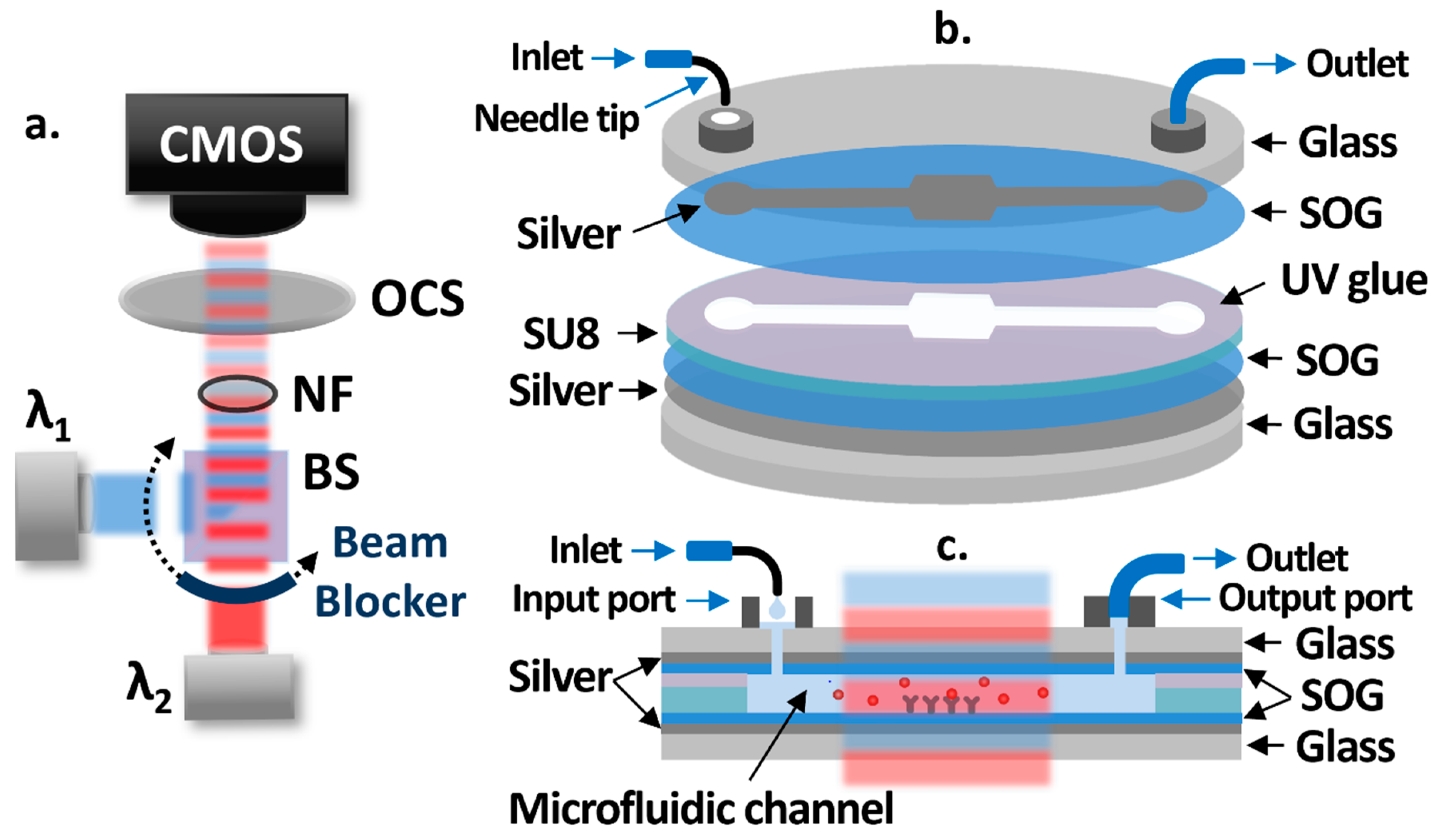Biosensors 11 00004 g001