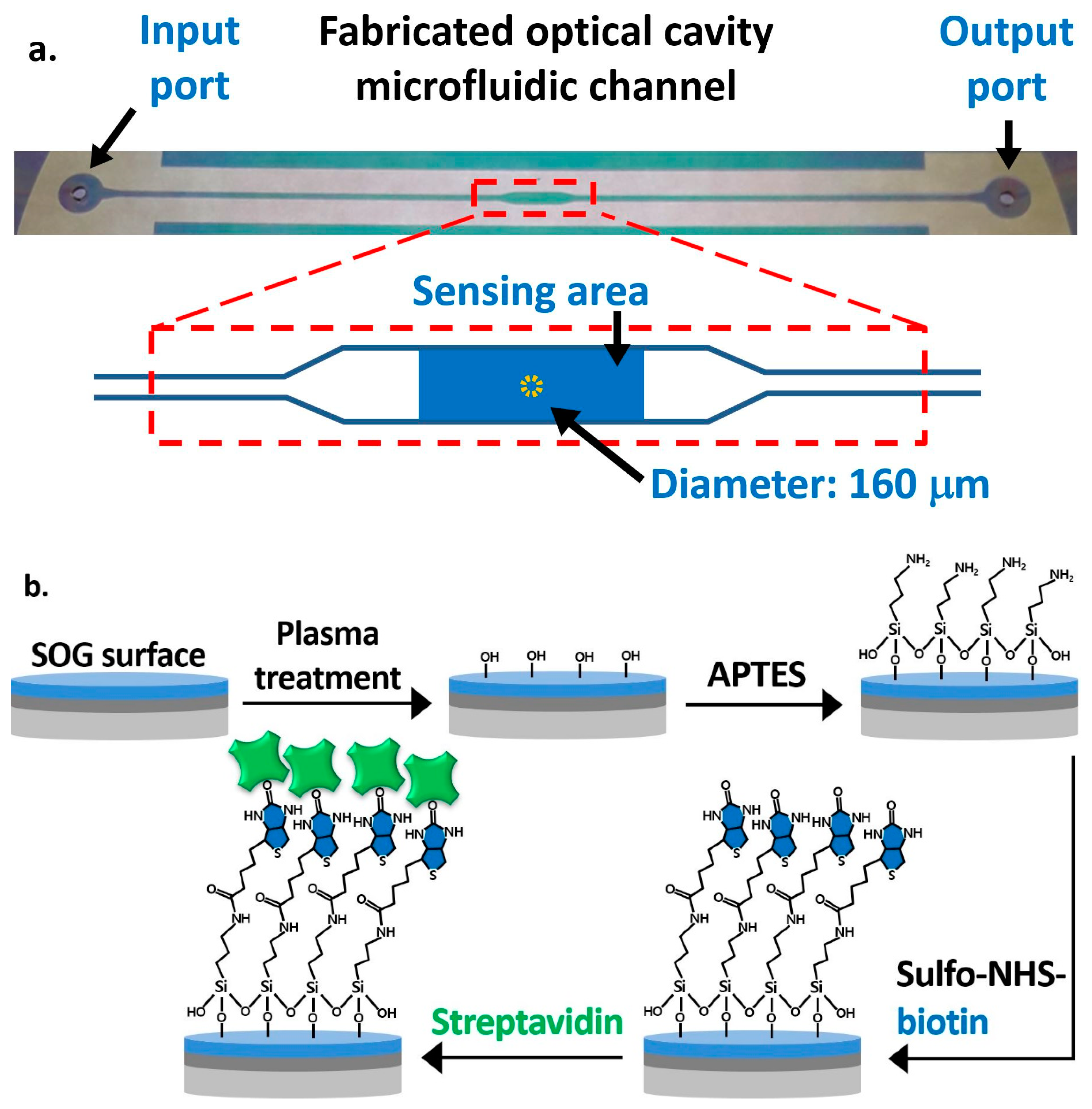 Biosensors 11 00004 g003