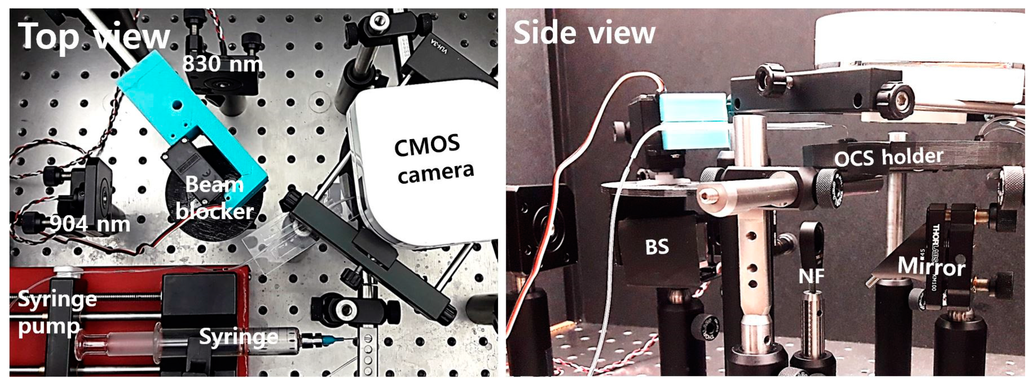 Biosensors 11 00004 g004