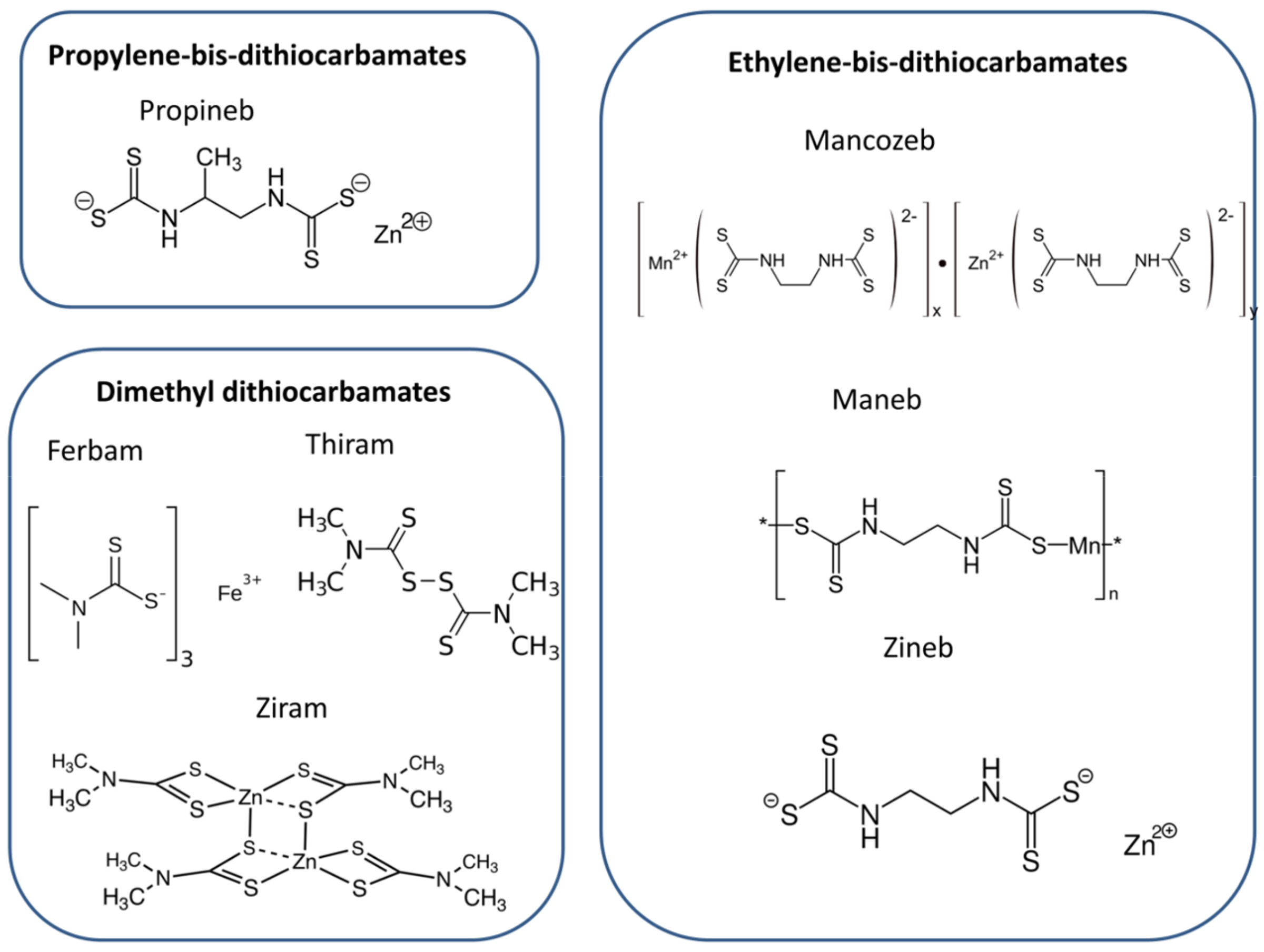 Biosensors 11 00012 g001