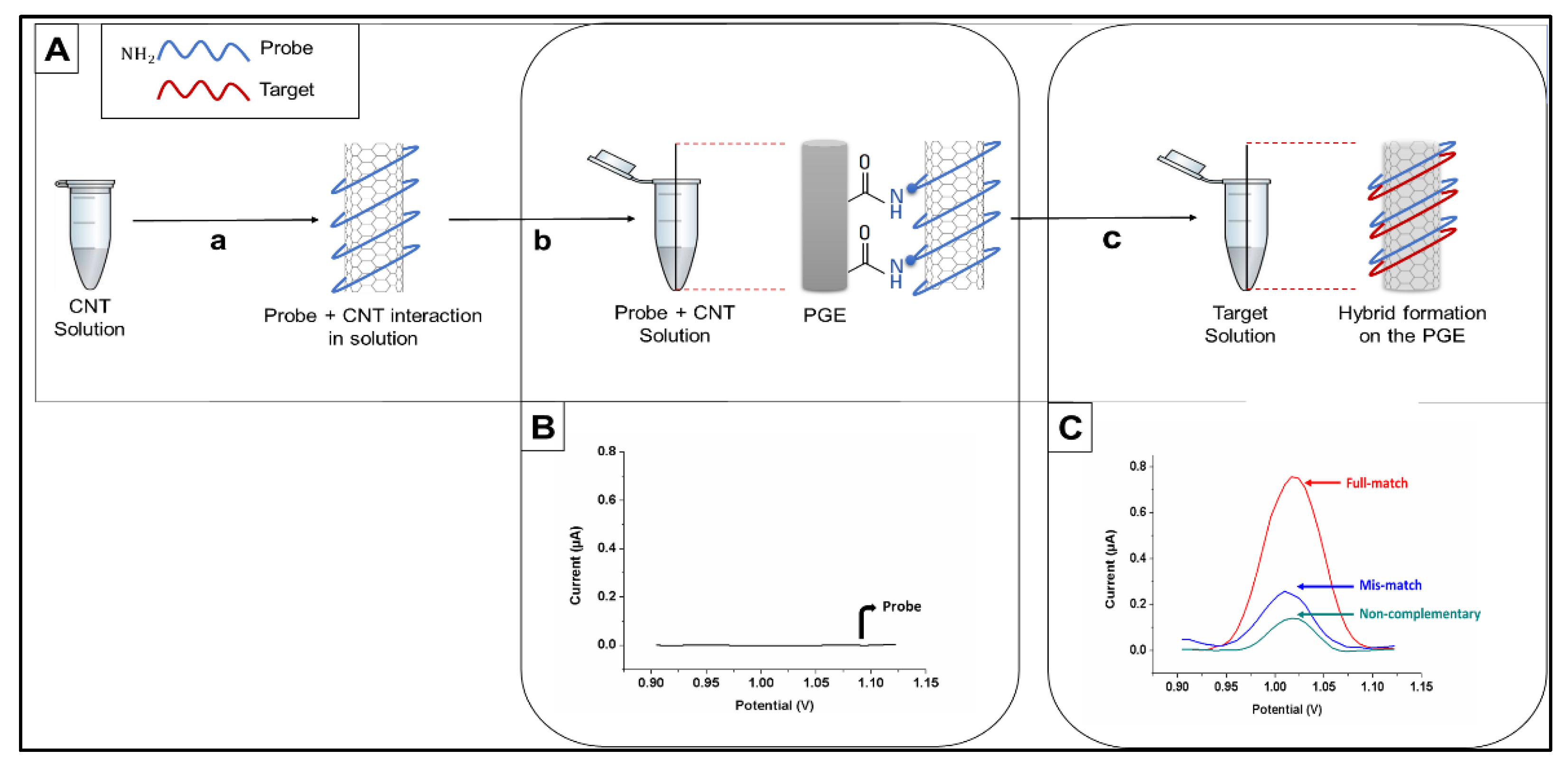Biosensors 11 00017 g002 Biosensors 11 00017 g002