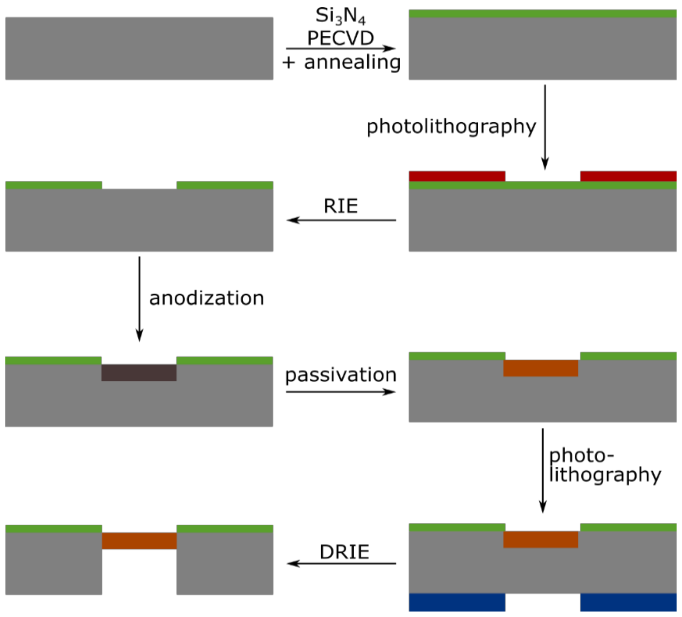 Biosensors 11 00027 g001