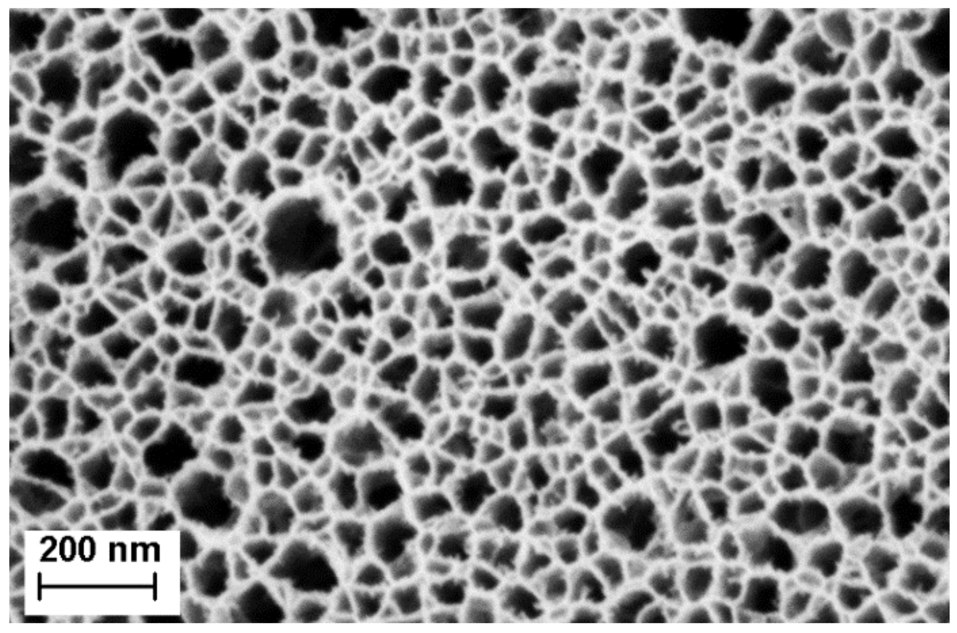 Biosensors 11 00027 g003